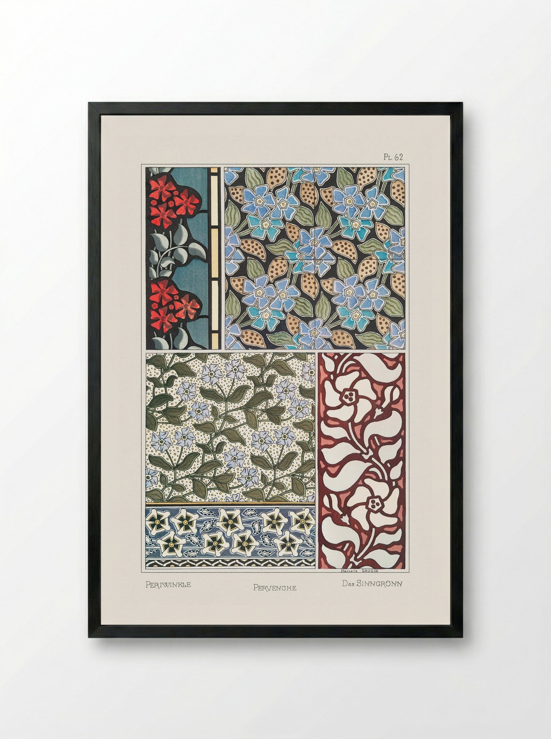 Pervenche (Periwinkle) from La Plante et ses Applications ornementales - Maurice Pillard Verneuil - Framed Print Black