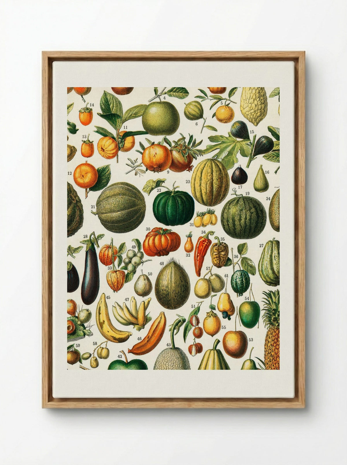 Fruits (from Nouveau Larousse Illustré) - Adolphe Millot - Framed Canvas Wood