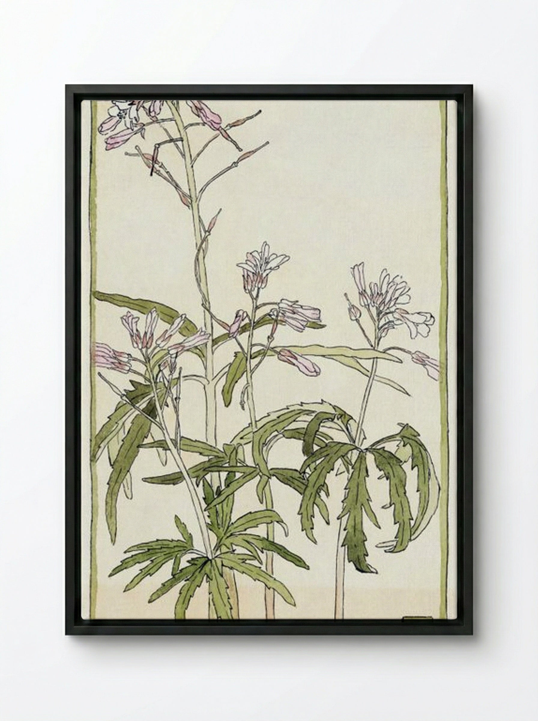 Pink Flowers with Spiky Green Leaves - Hannah Borger Overbeck - Framed Canvas Black
