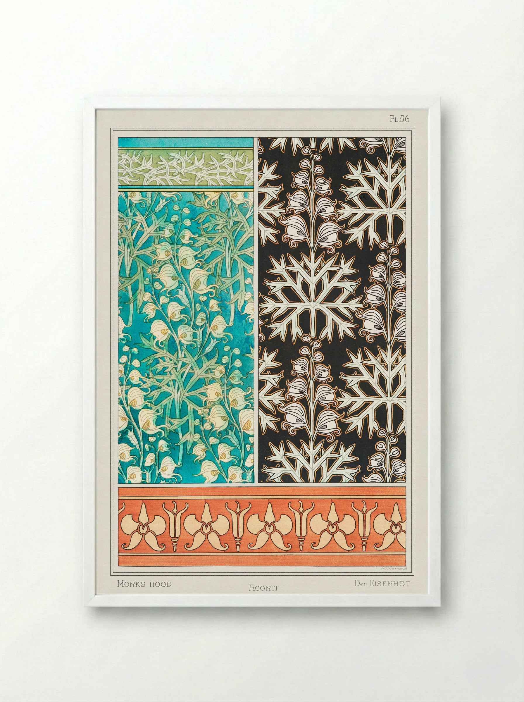 Aconite (Monkshood) - Maurice Pillard Verneuil - Framed Print White