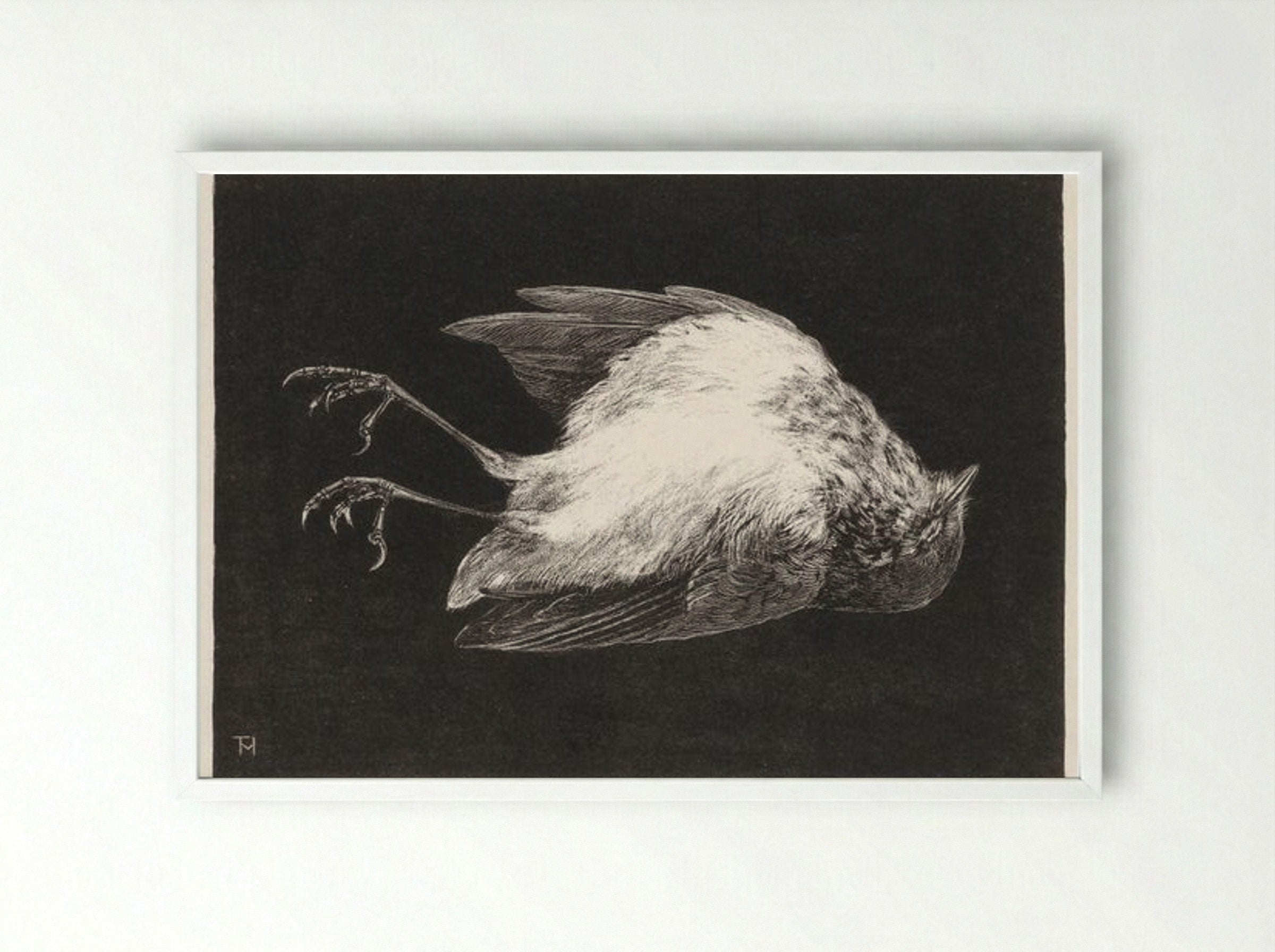 Dood Roodborstje (Dead Robin) - Theo van Hoytema - Framed Print White
