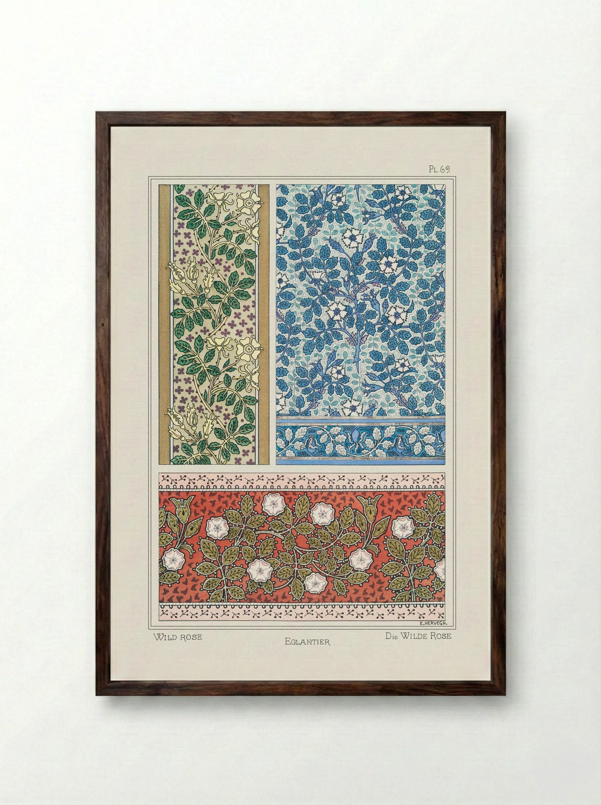 Eglantier (Wild Rose) from La Plante et ses Applications ornementales - Maurice Pillard Verneuil - Framed Print Dark Wood