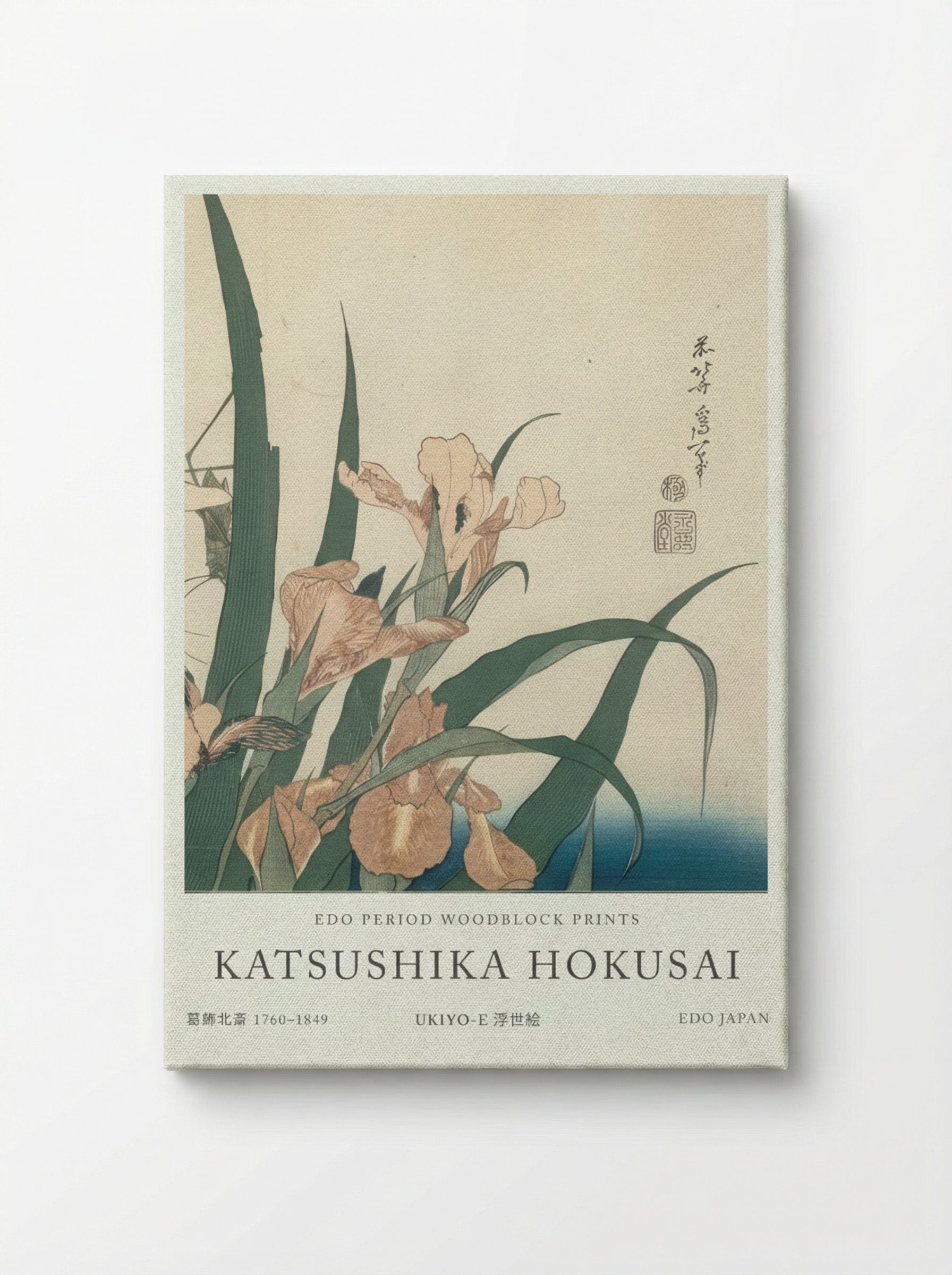 Irises and Grasshopper – Fine Art Print