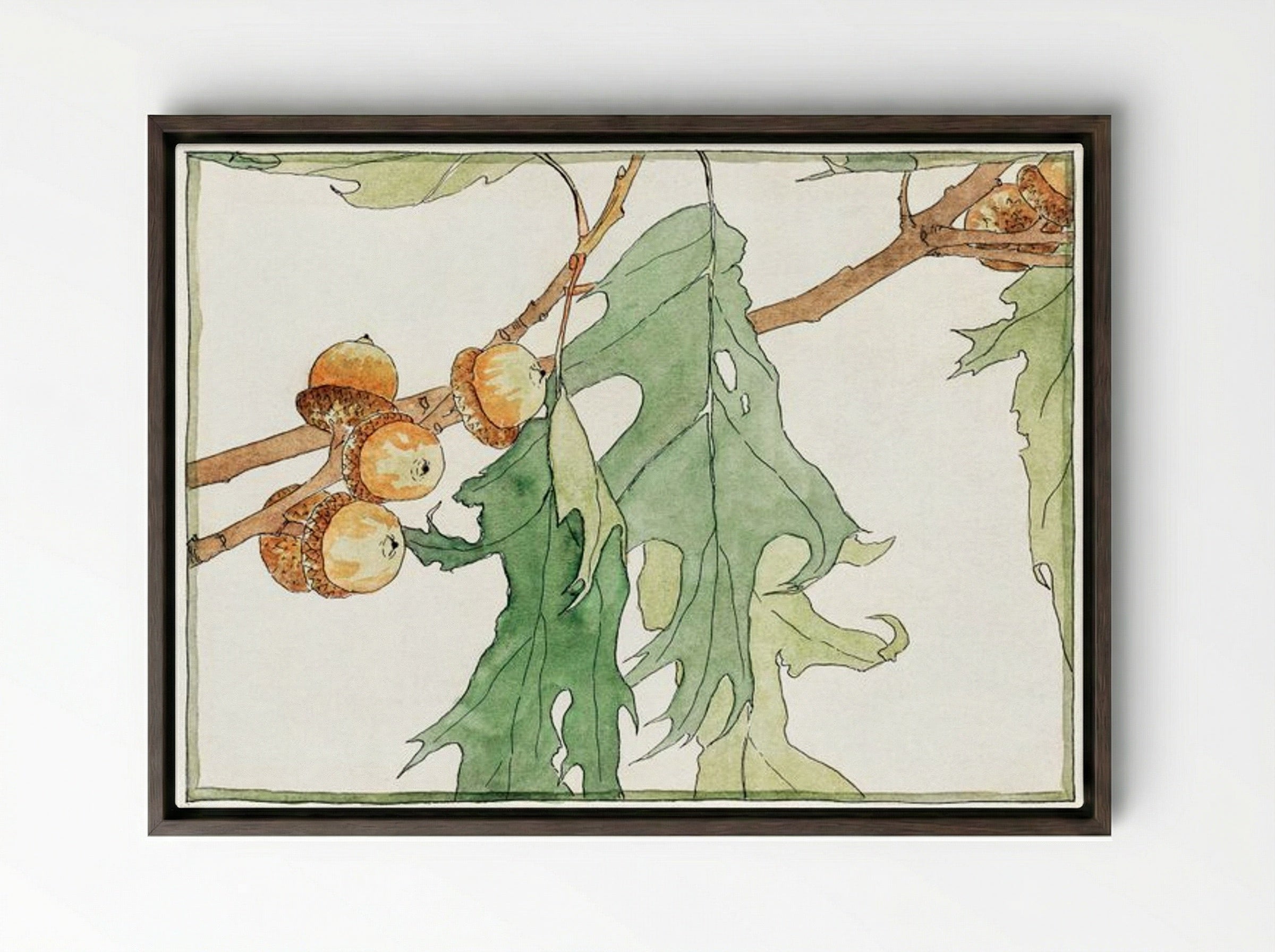 Oak Acorns - Hannah Borger Overbeck - Framed Canvas Dark Wood