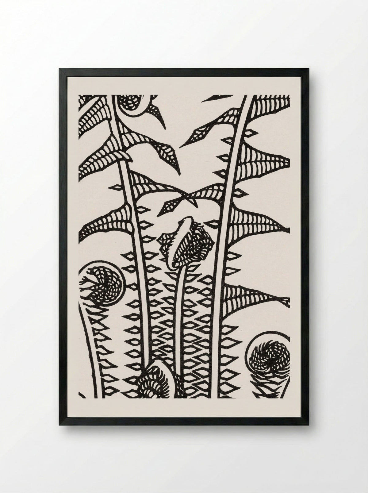 Ferns - Julie de Graag - Framed Print Black