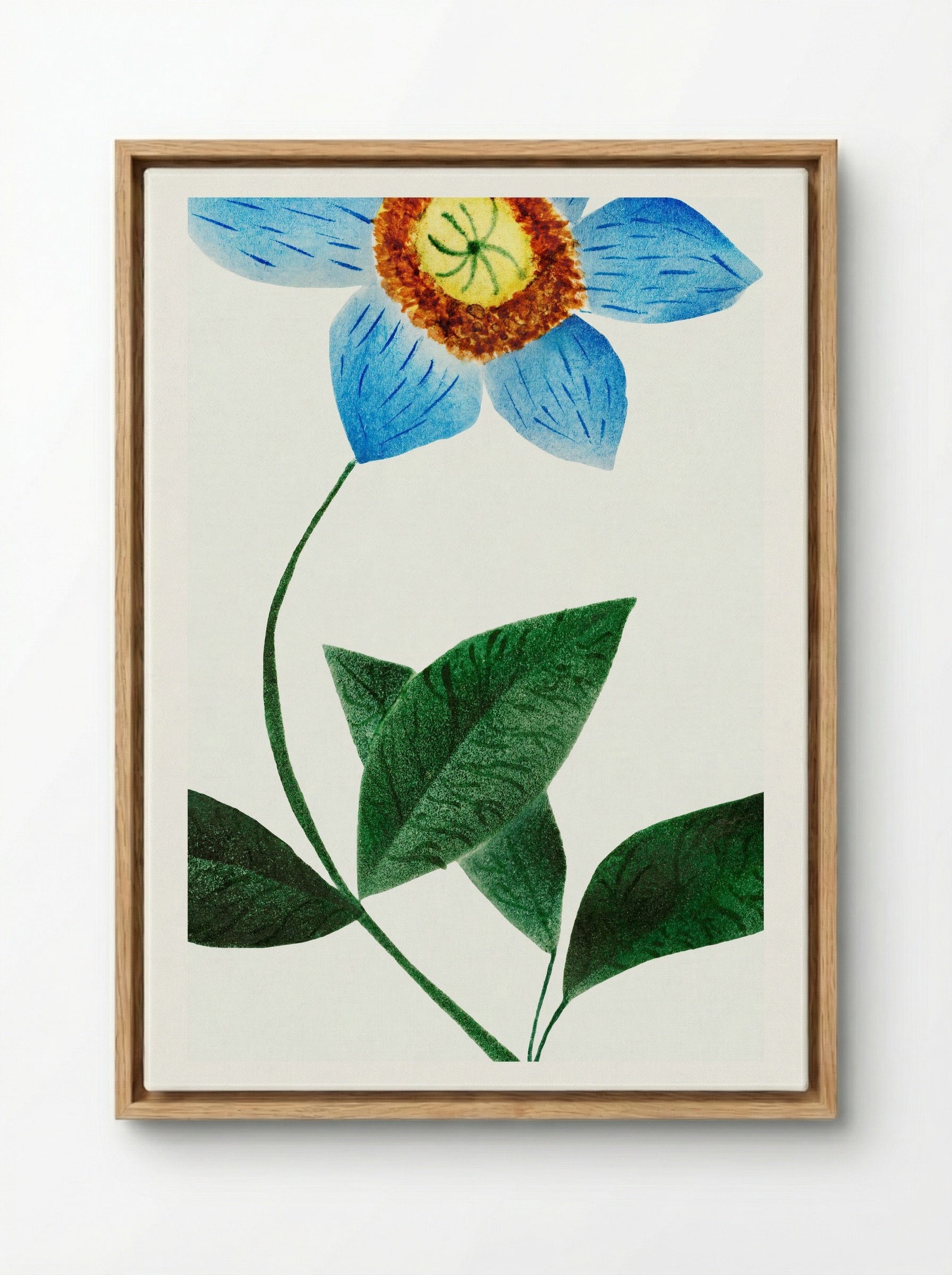 Star Flower - Mary Altha Nims - Framed Canvas Wood