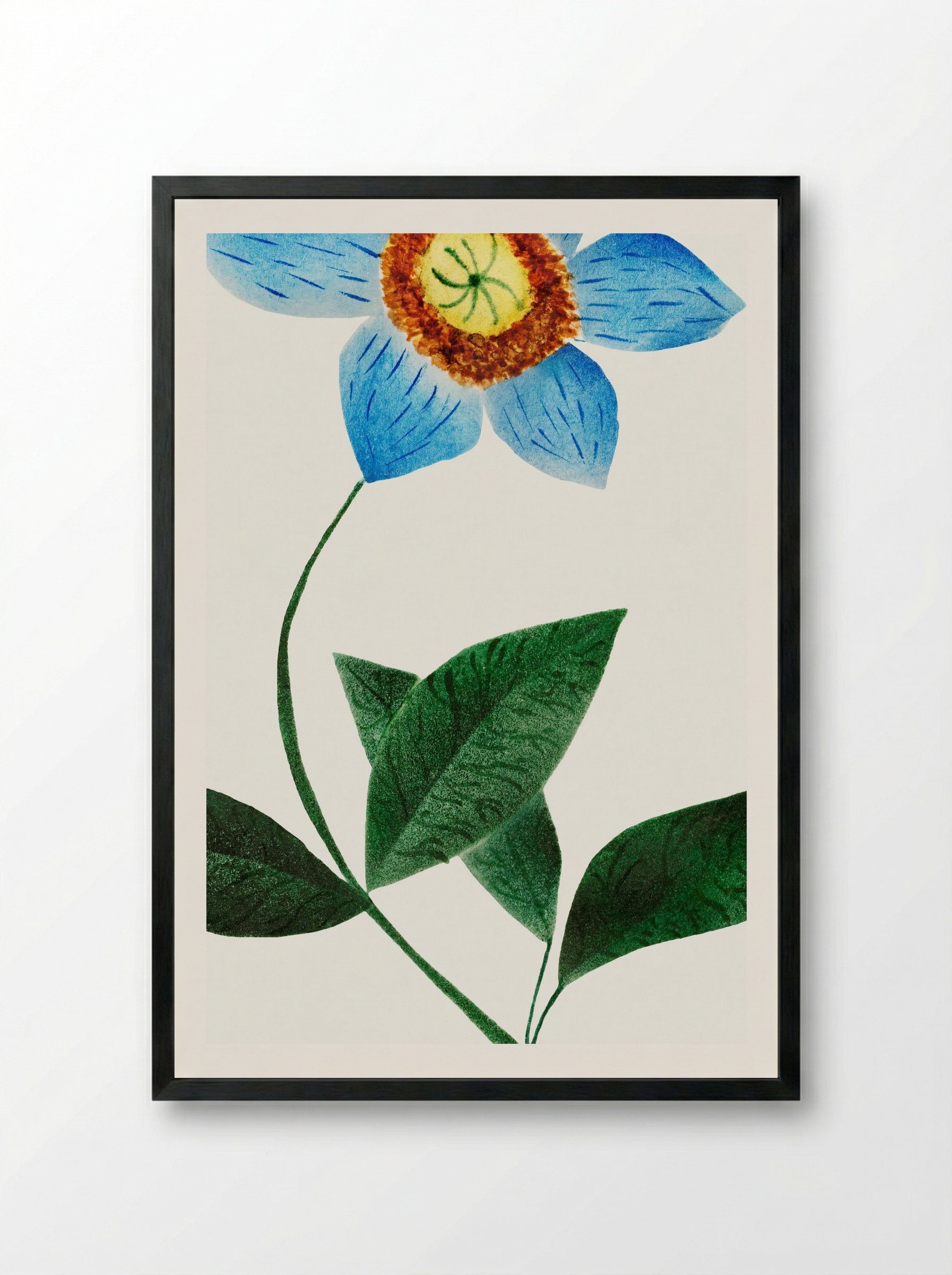 Star Flower - Mary Altha Nims - Framed Print Black
