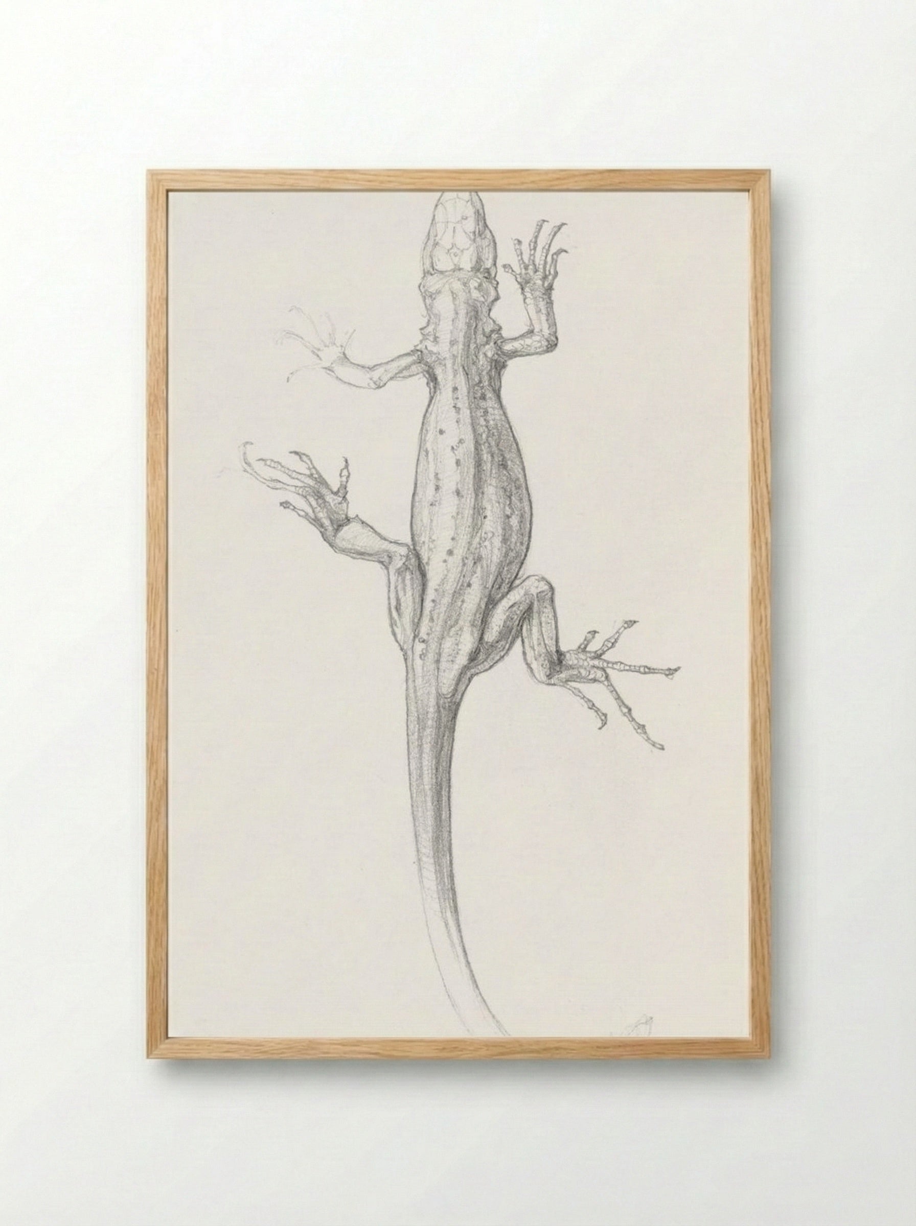 Sketch of a Lizard - Julie de Graag - Framed Print Wood