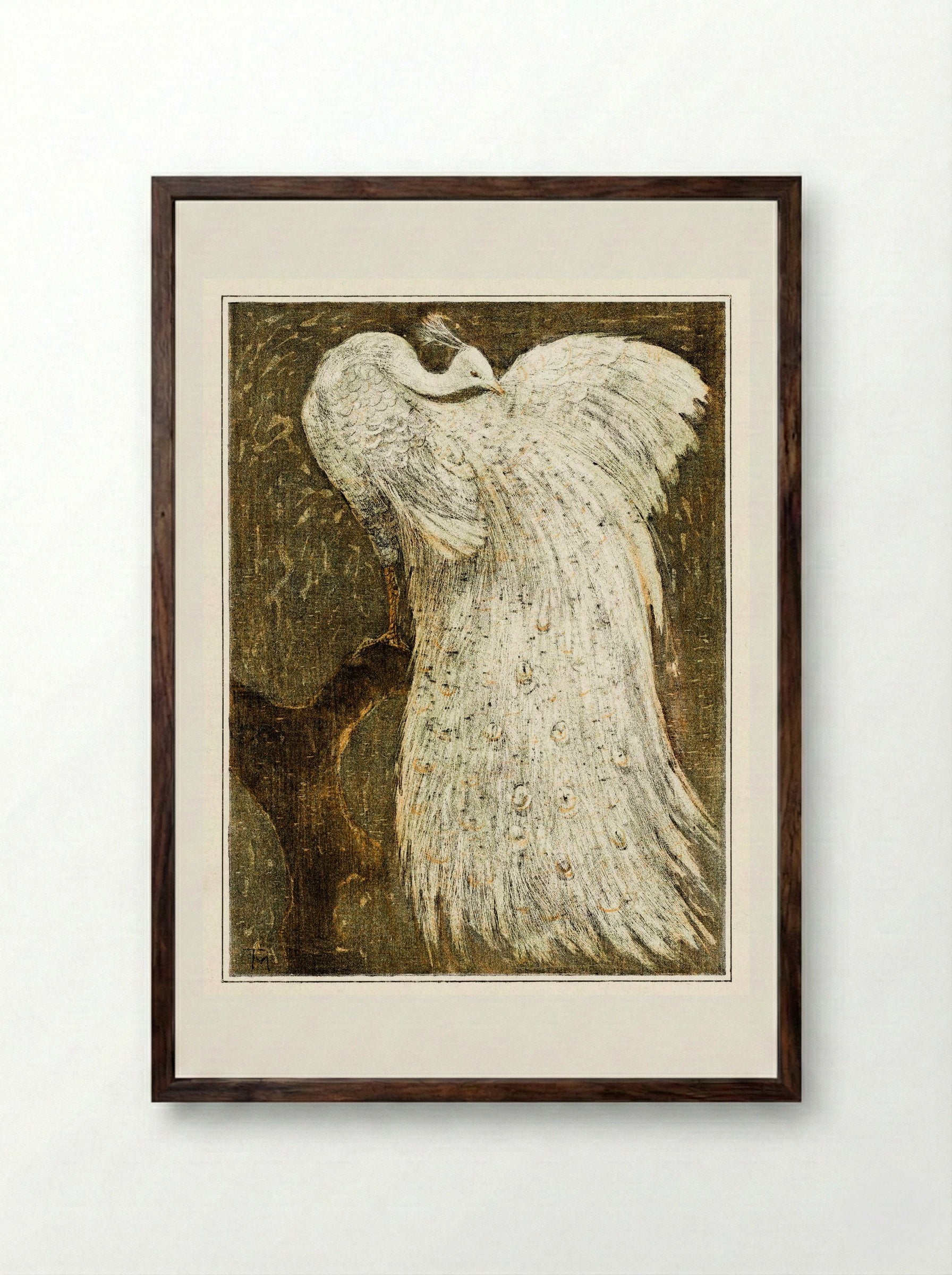 White Peacock on a Branch - Theo van Hoytema - Framed Print Dark Wood