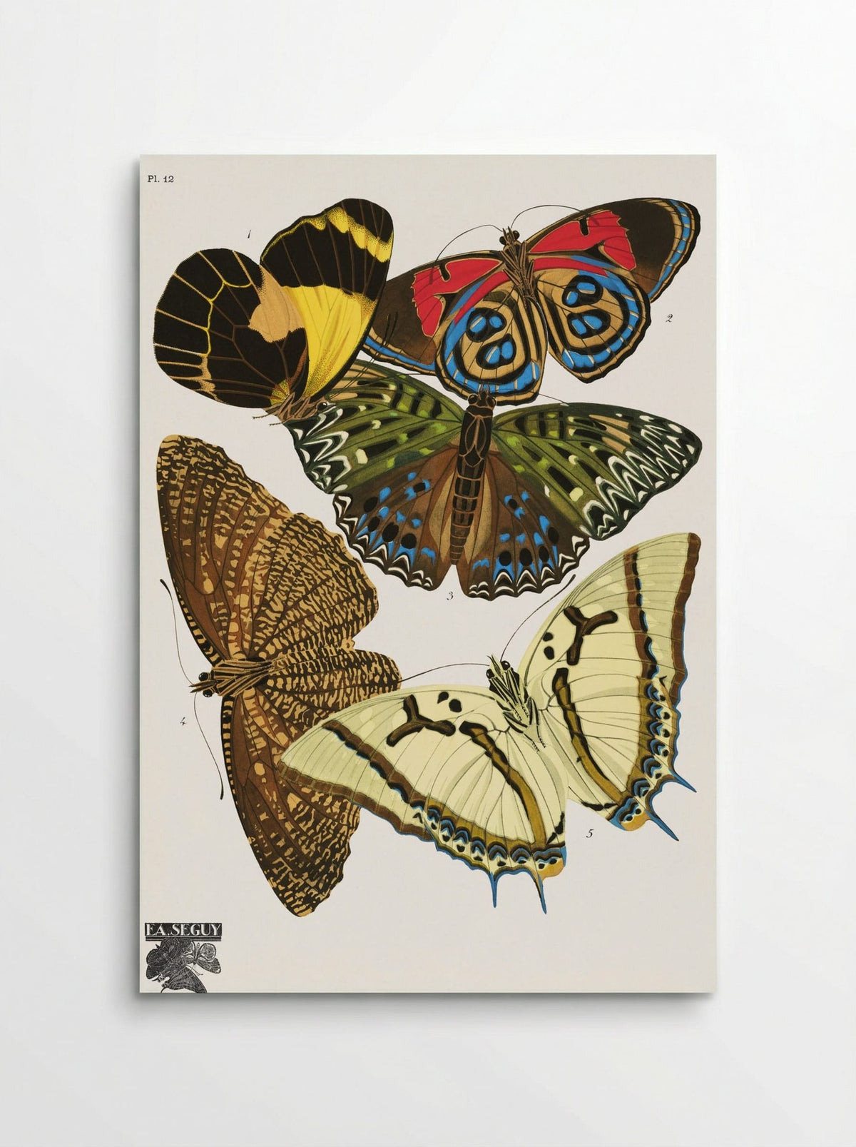 Séguy's Vintage Butterflies, Plate 12 - Émile Allain Séguy - Poster