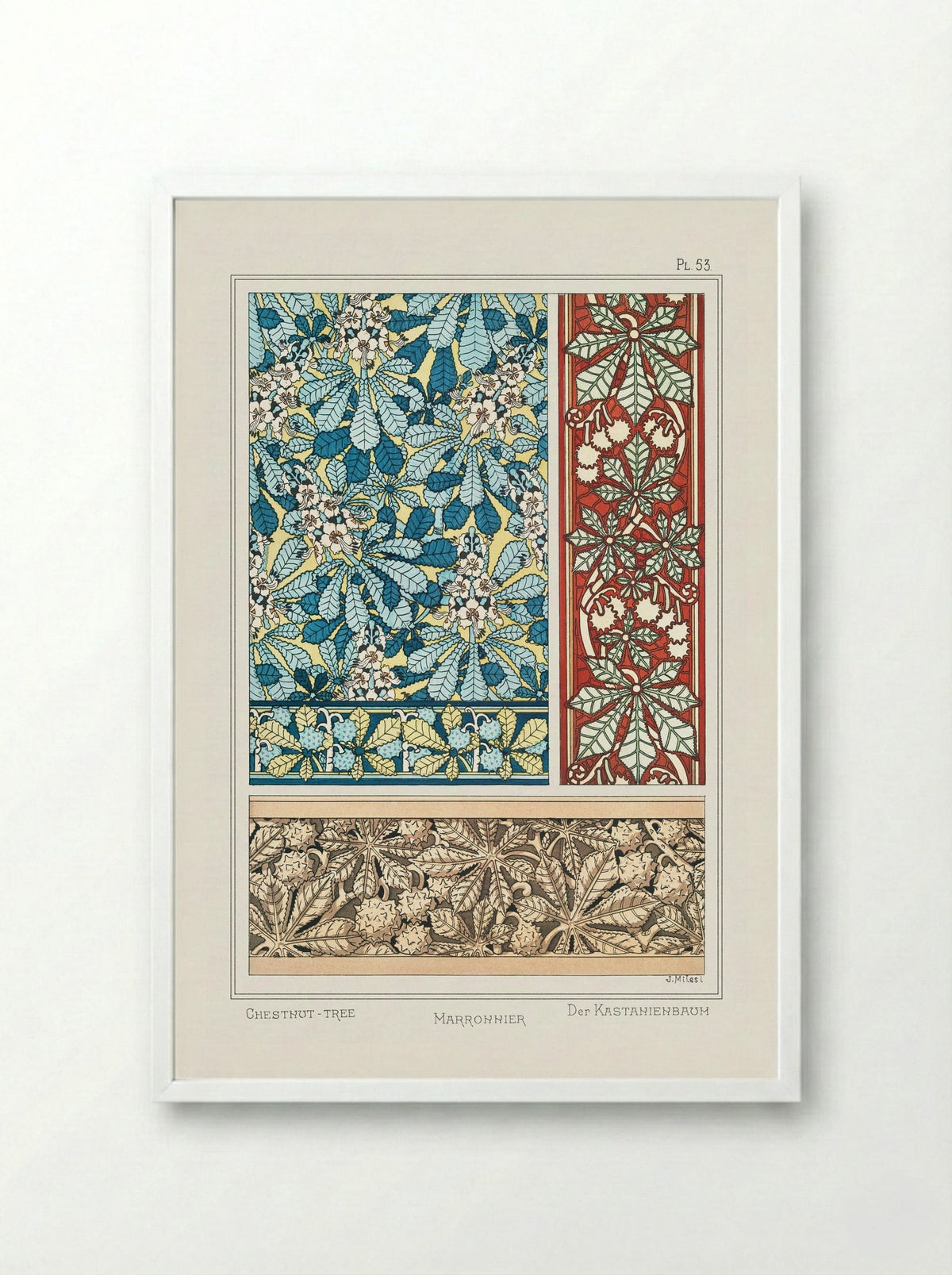 Marronnier (Chestnut Tree) from La Plante et ses Applications ornementales - Maurice Pillard Verneuil - Framed Print White