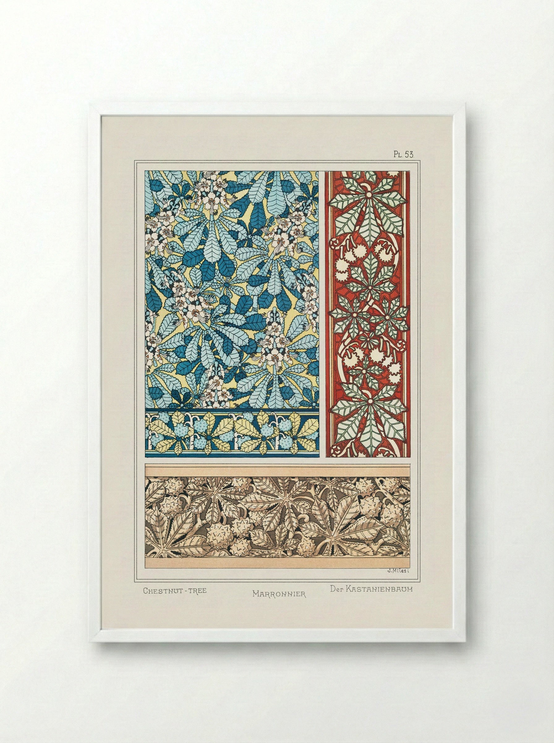 Marronnier (Chestnut Tree) from La Plante et ses Applications ornementales - Maurice Pillard Verneuil - Framed Print White