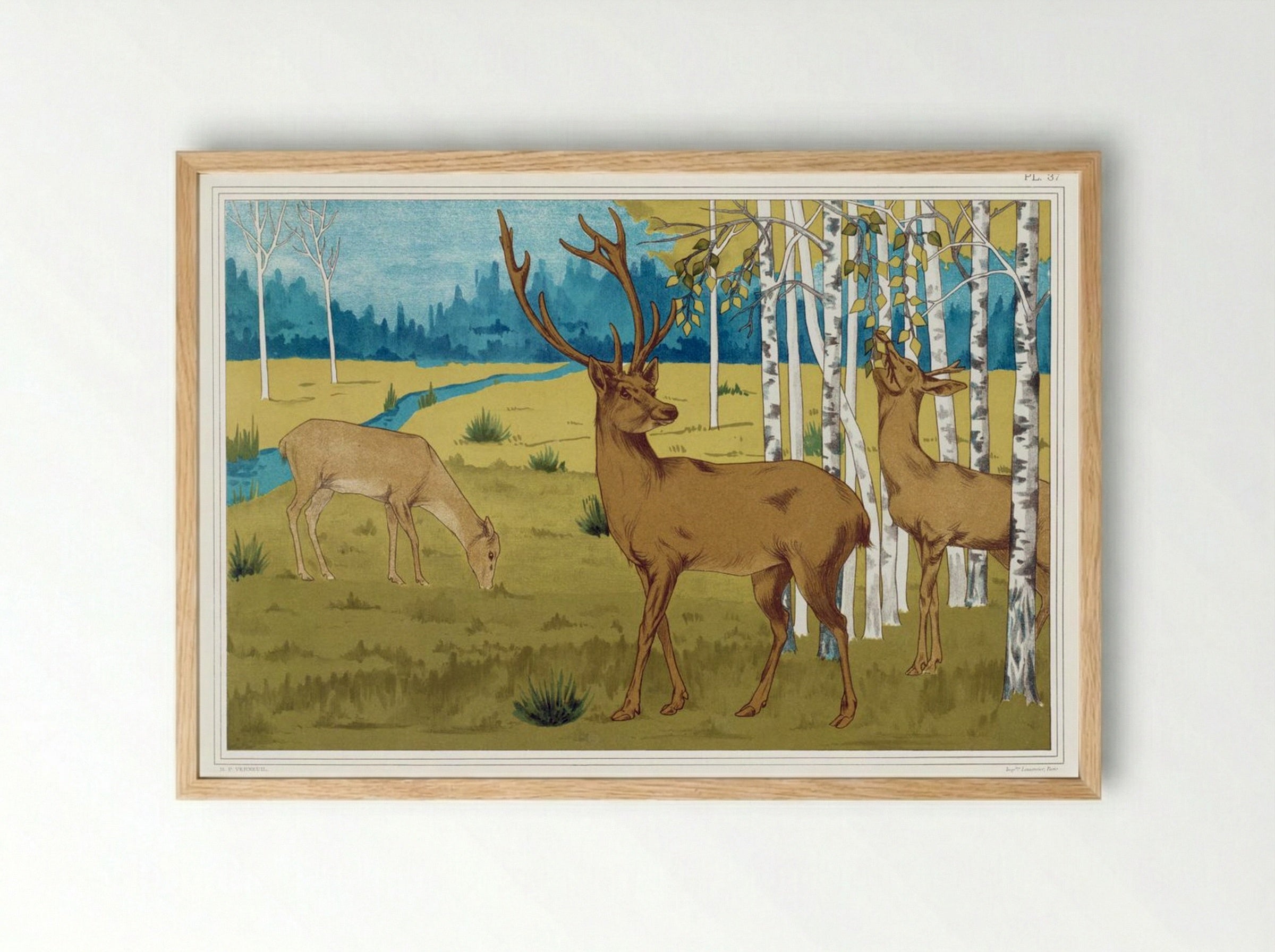 Cerfs (Deer) from L'animal dans la décoration - Maurice Pillard Verneuil - Framed Print Wood