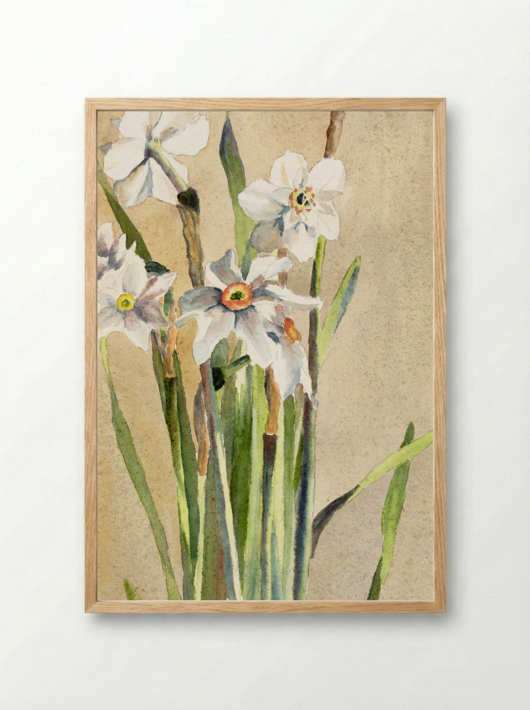 White Narcissus with Gray Accents (1915) - Hannah Borger Overbeck - Framed Print Wood