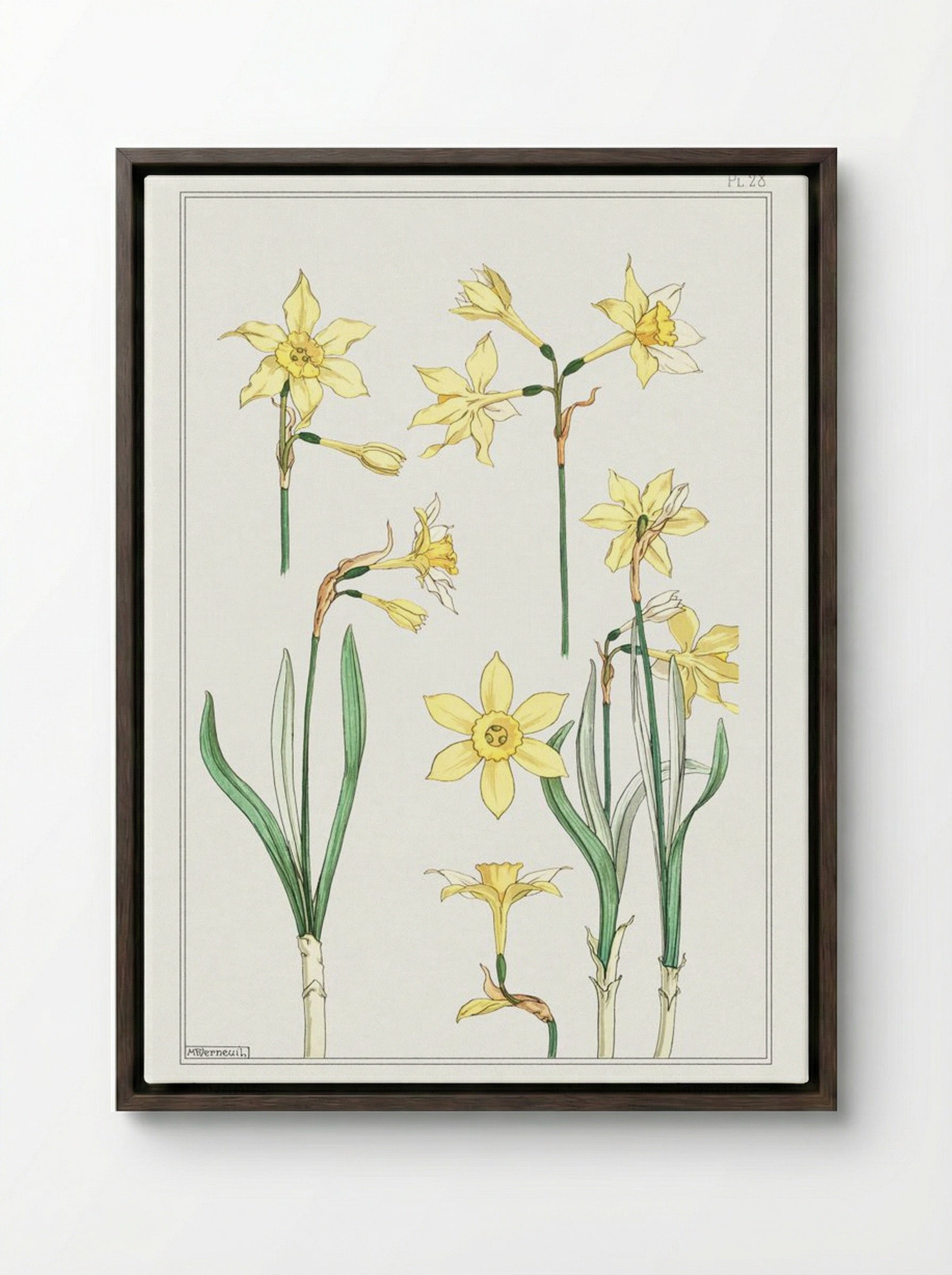 Jonquille or Jonquil - Maurice Pillard Verneuil - Framed Canvas Dark Wood