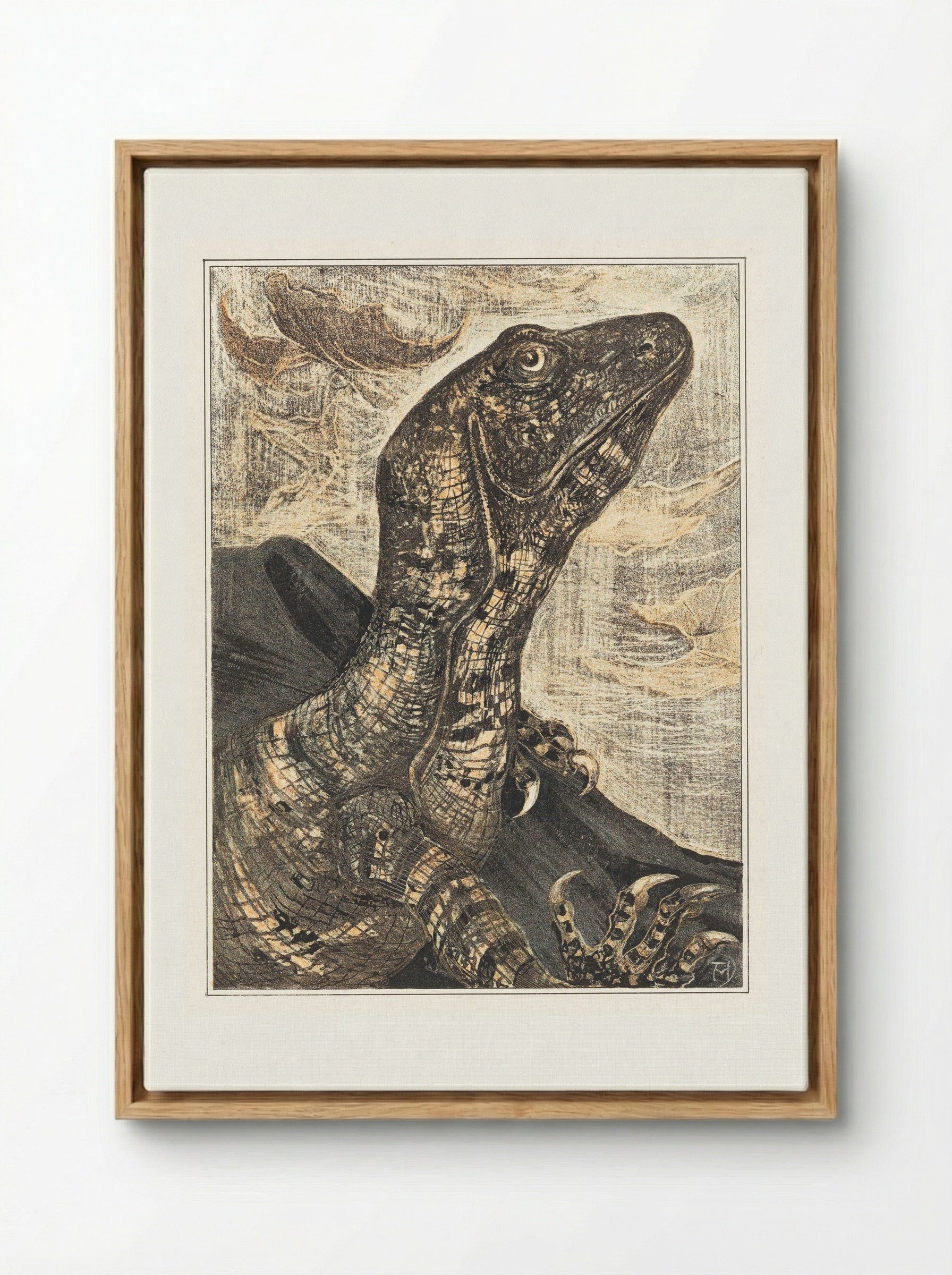 Leguaan (Monitor Lizard) - Theo van Hoytema - Framed Canvas Wood