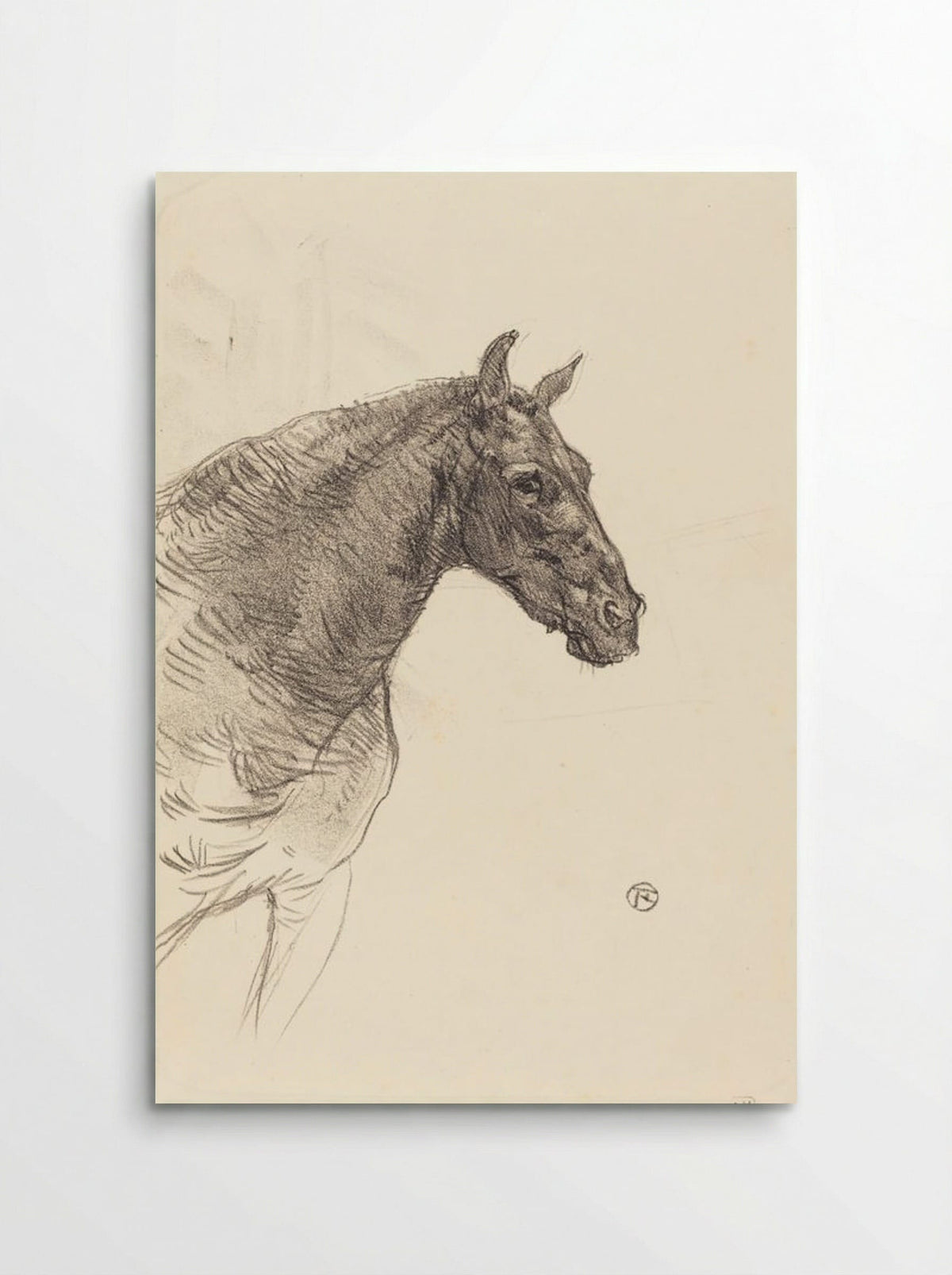 Le Vieux Cheval (Old Horse) - Henri de Toulouse-Lautrec - Poster