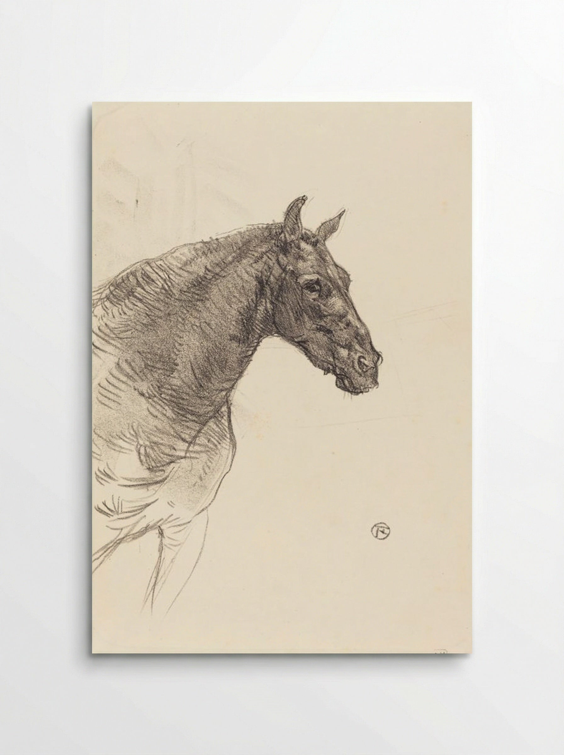 Le Vieux Cheval (Old Horse) - Henri de Toulouse-Lautrec - Poster