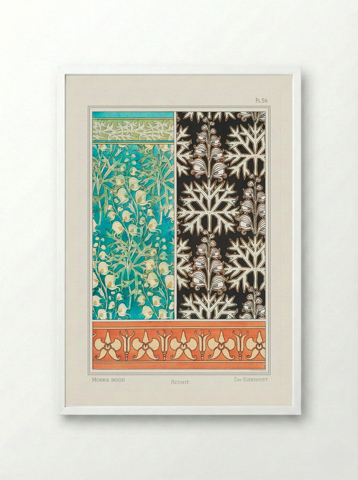 Aconite (Monkshood) from La Plante et ses Applications ornementales - Maurice Pillard Verneuil - Framed Print White