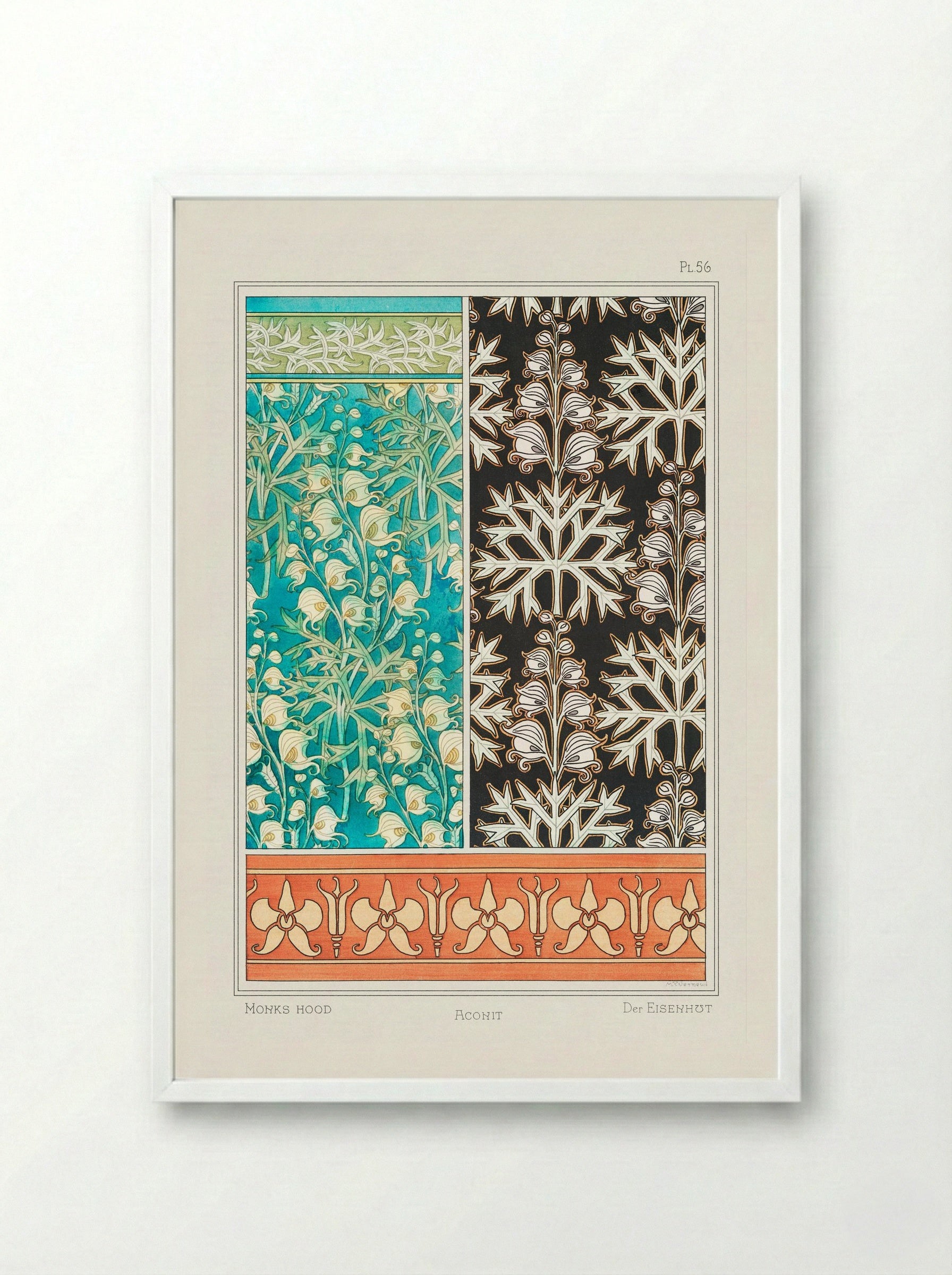Aconite (Monkshood) from La Plante et ses Applications ornementales - Maurice Pillard Verneuil - Framed Print White