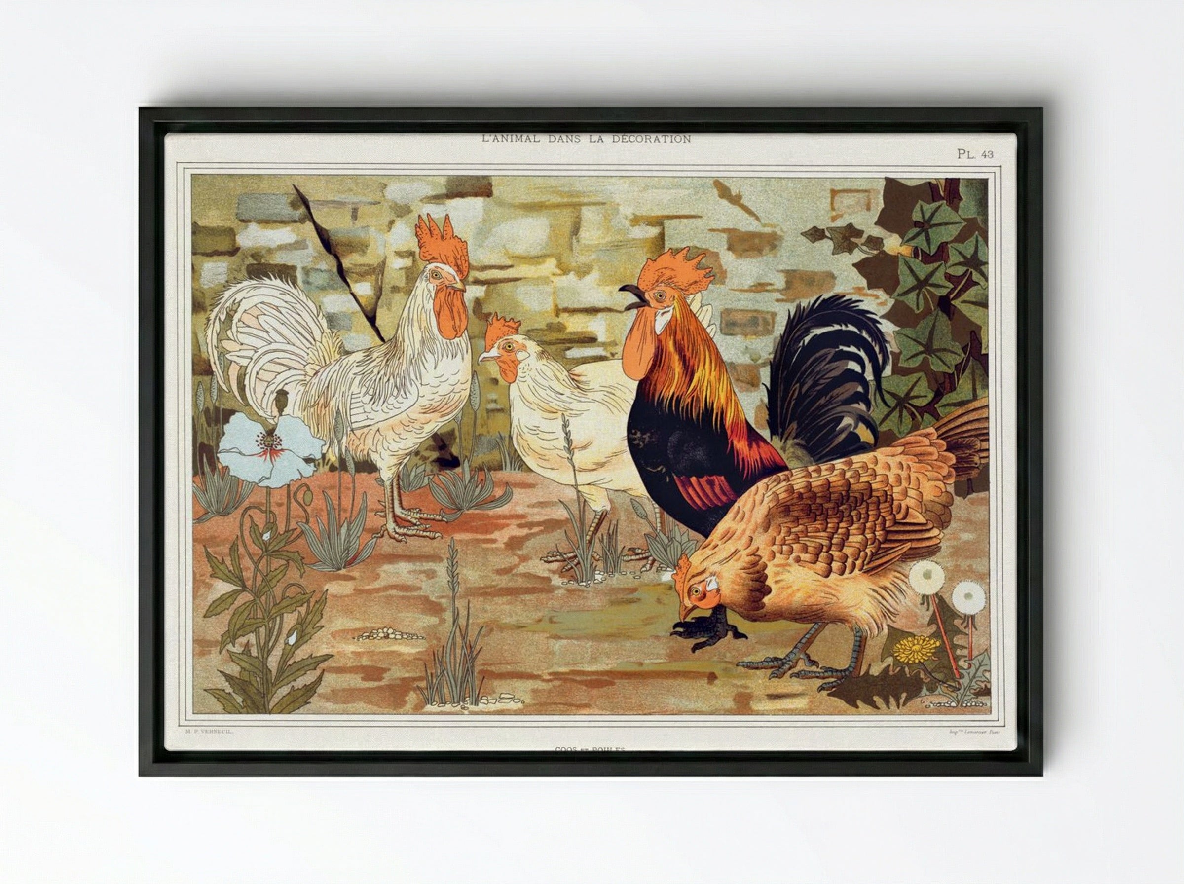 Coqs et Poules (From L'animal dans la décoration) - Maurice Pillard Verneuil - Framed Canvas Black