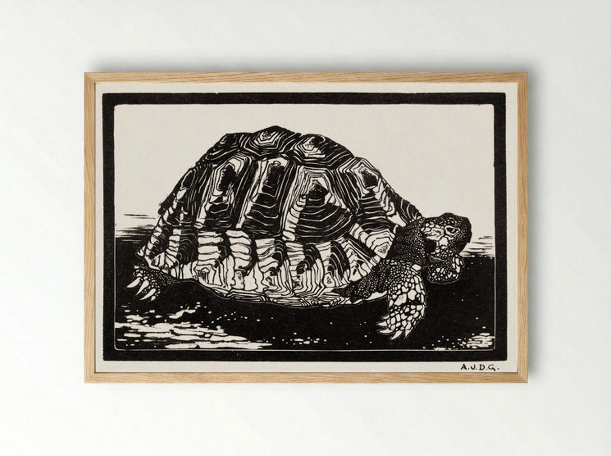 Turtle - Julie de Graag - Framed Print Wood