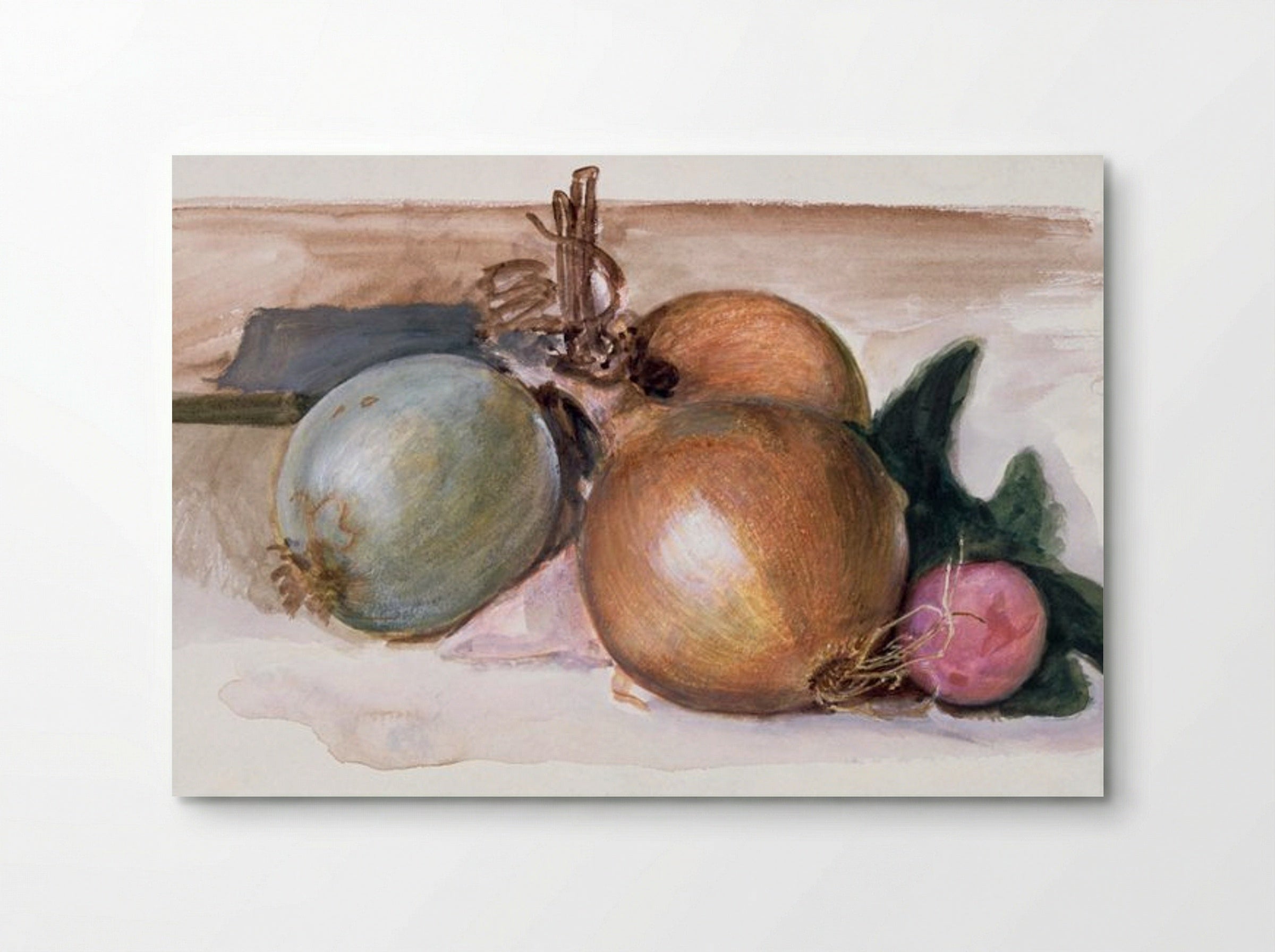Still-Life - Study of Onions - Edward Burne-Jones - Poster