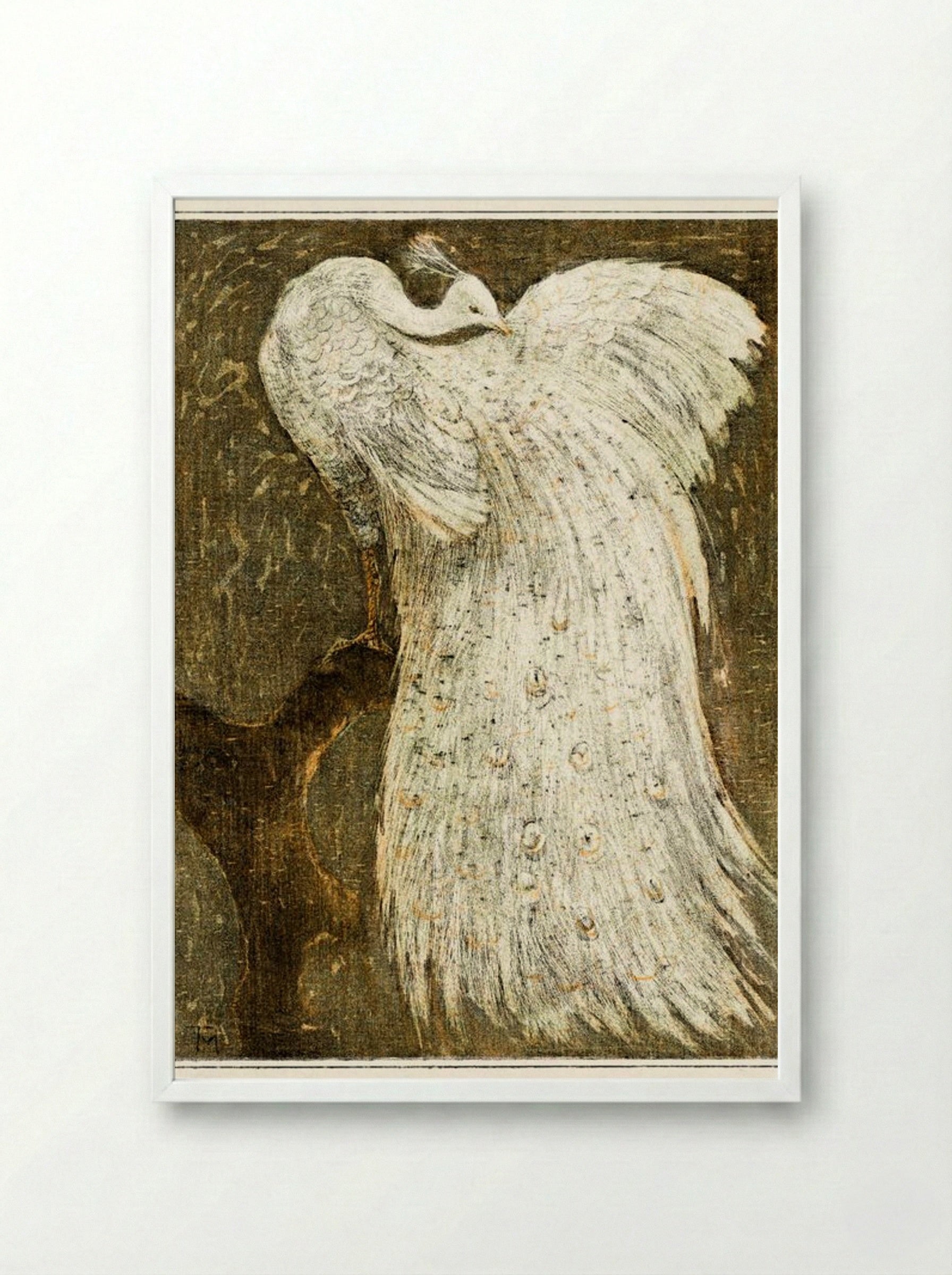 White Peacock on a Branch - Theo van Hoytema - Framed Print White