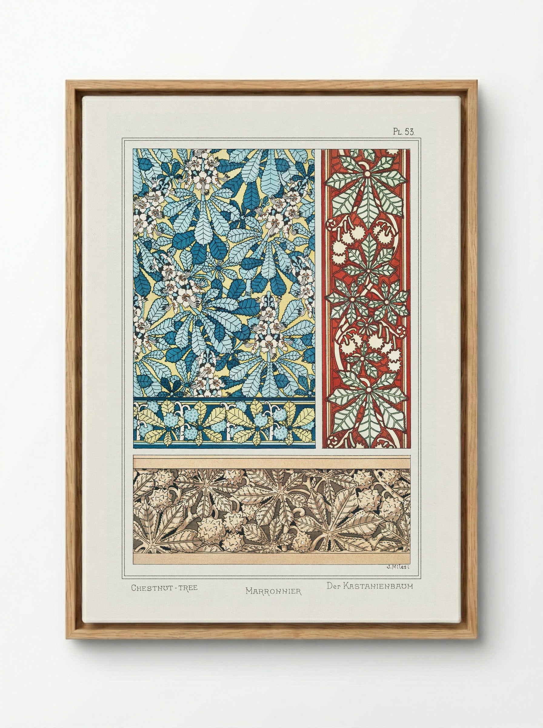 Marronnier (Chestnut Tree) from La Plante et ses Applications ornementales - Maurice Pillard Verneuil - Framed Canvas Wood