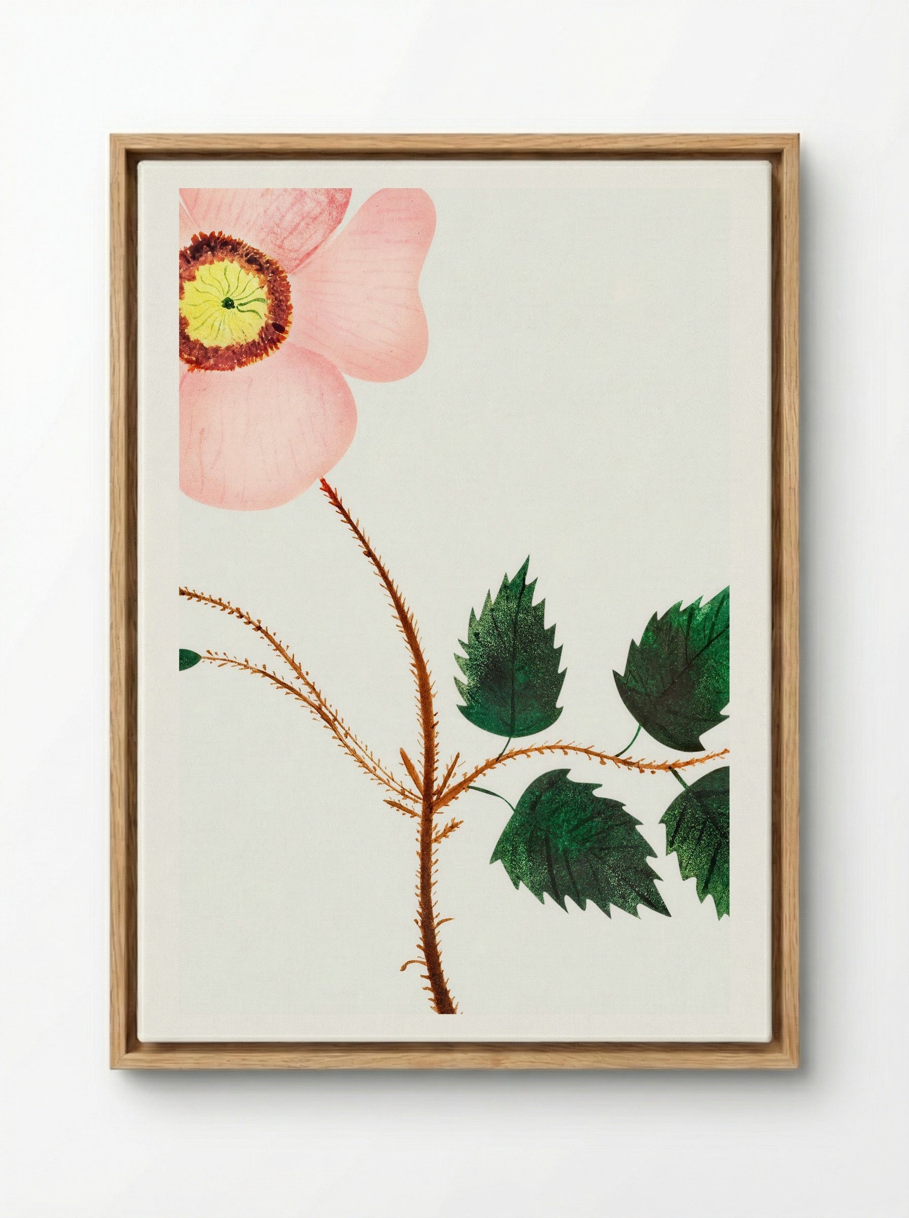 Wild Rose - Mary Altha Nims - Framed Canvas Wood