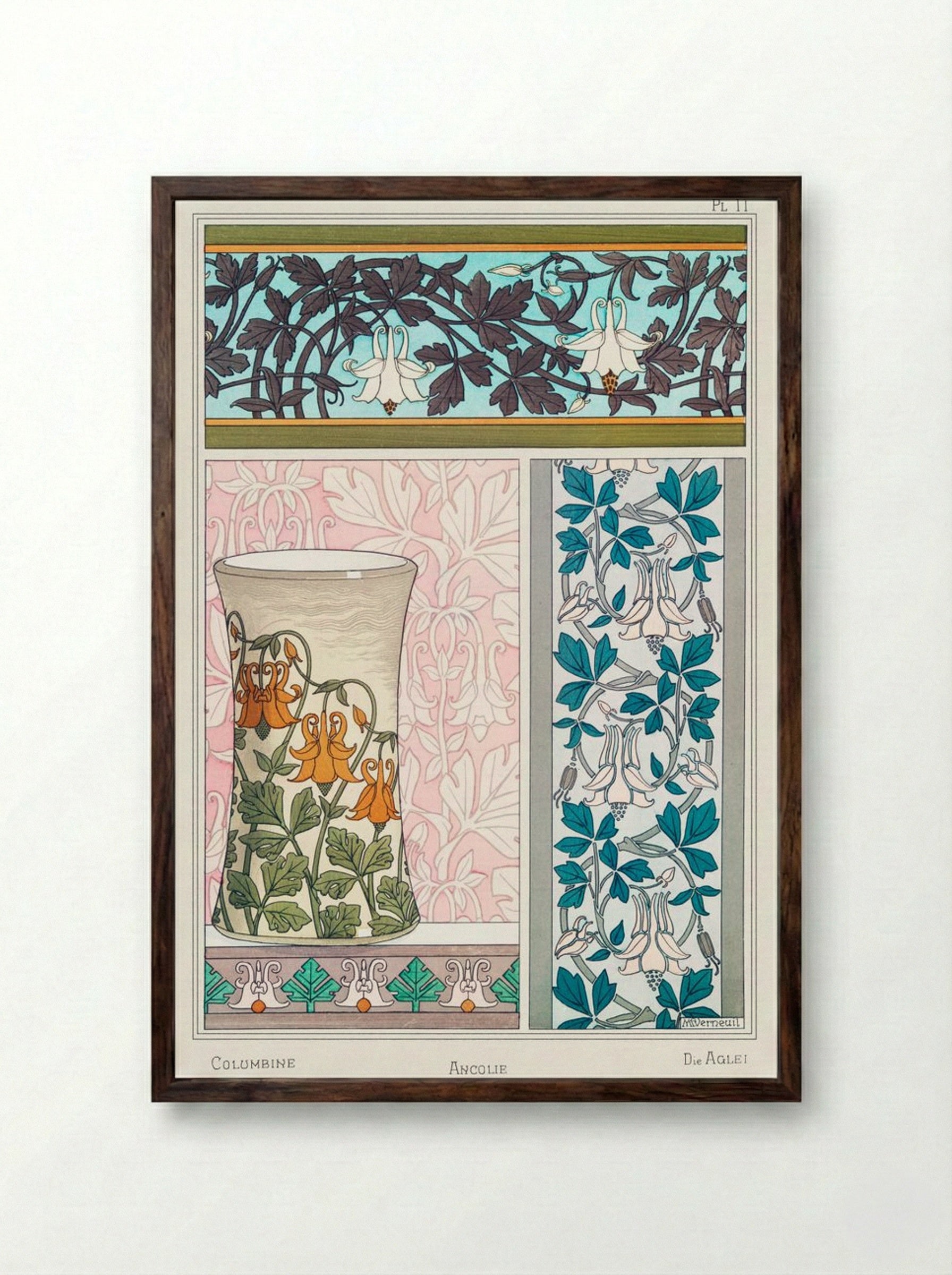 Ancolie (Columbine) from La Plante et ses Applications ornementales - Maurice Pillard Verneuil - Framed Print Dark Wood