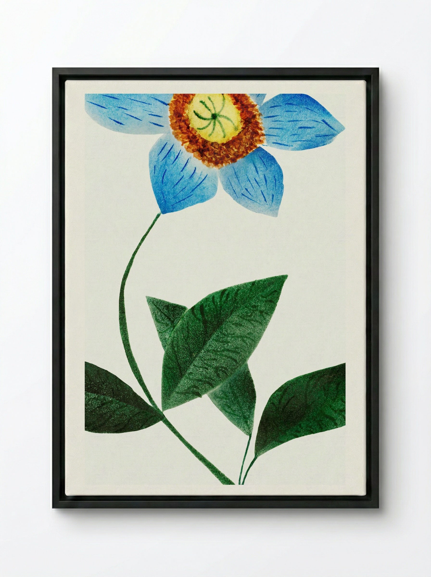 Star Flower - Mary Altha Nims - Framed Canvas Black