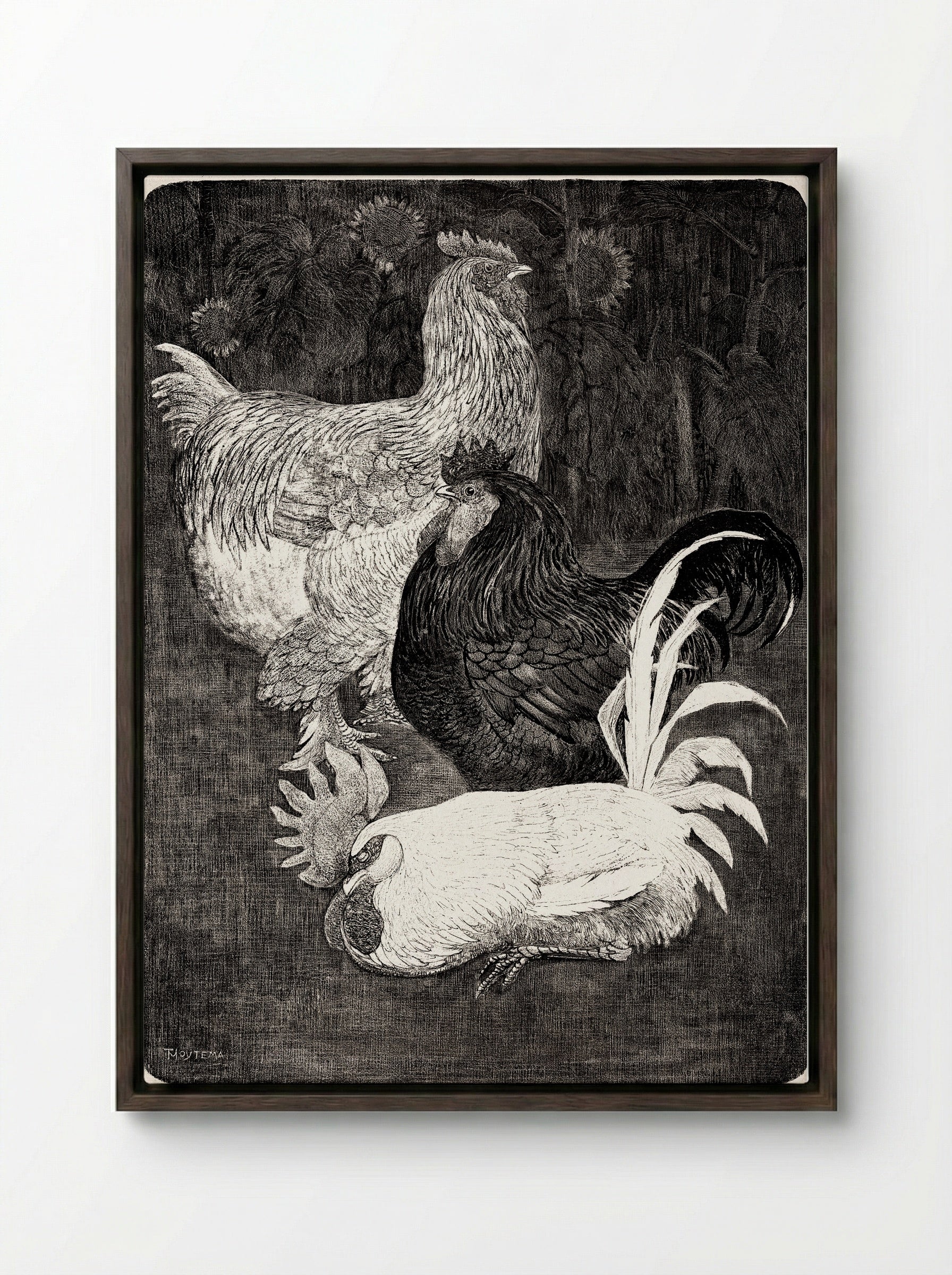 Drie Hanen (Three Roosters) - Theo van Hoytema - Framed Canvas Dark Wood