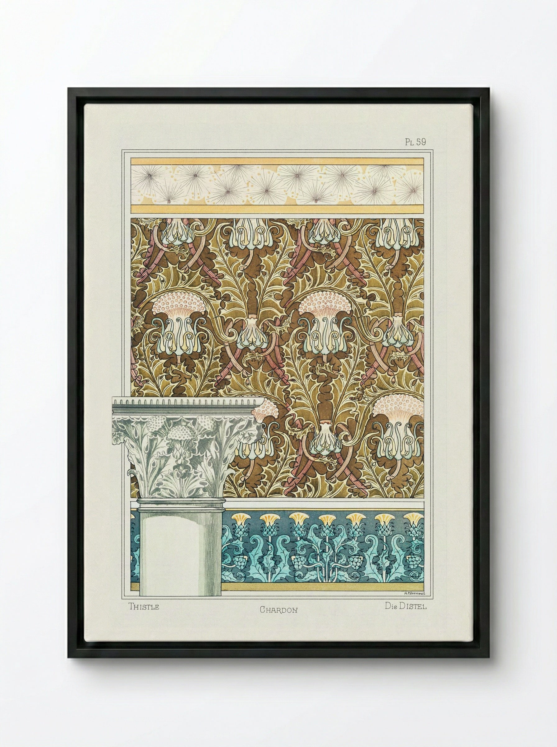Chardon (Thistle) from La Plante et ses Applications ornementales - Maurice Pillard Verneuil - Framed Canvas Black