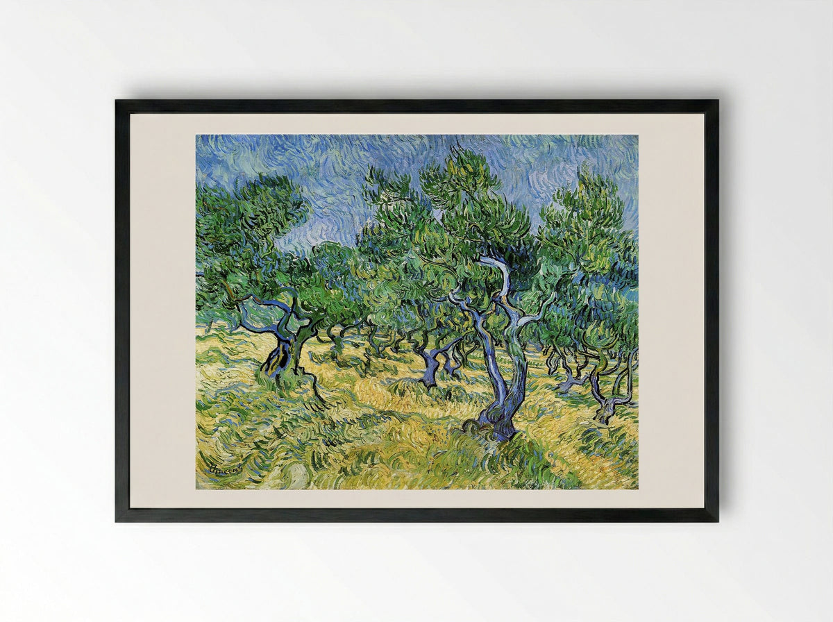 Olive Grove - Vincent van Gogh - Framed Print Black