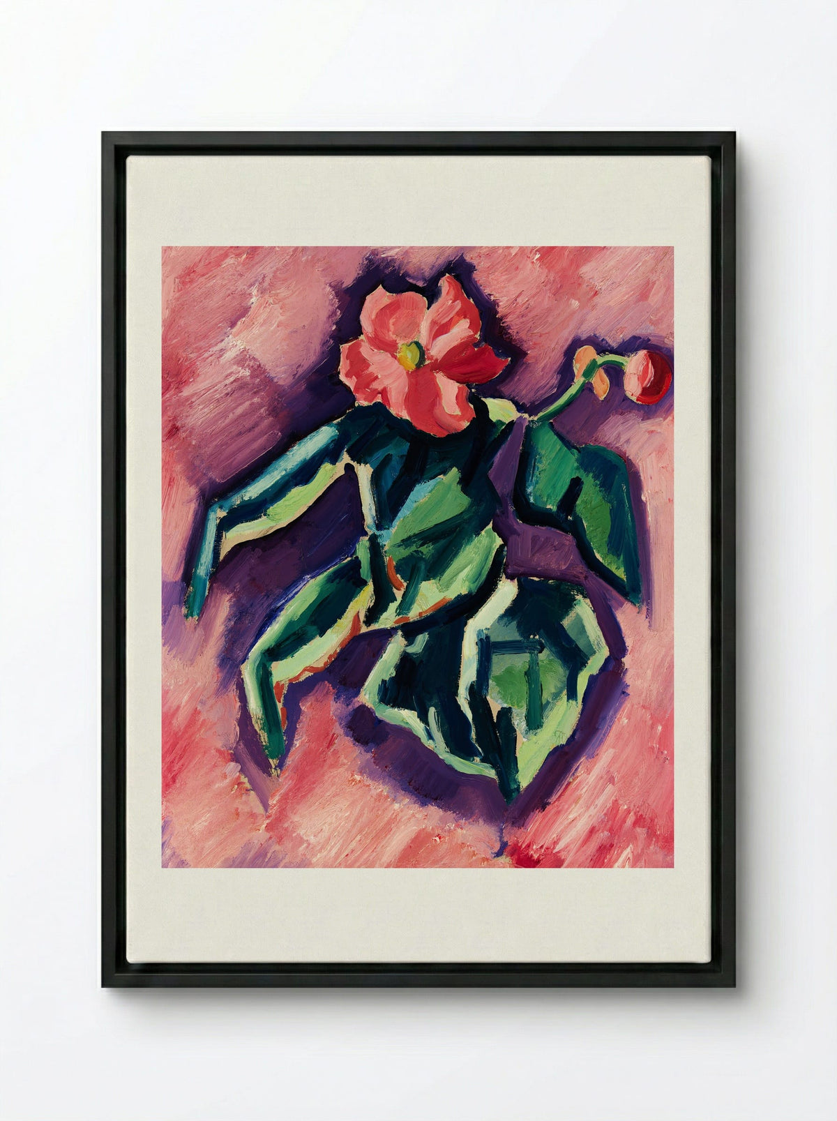 Pink Begonias - Marsden Hartley - Framed Canvas Black