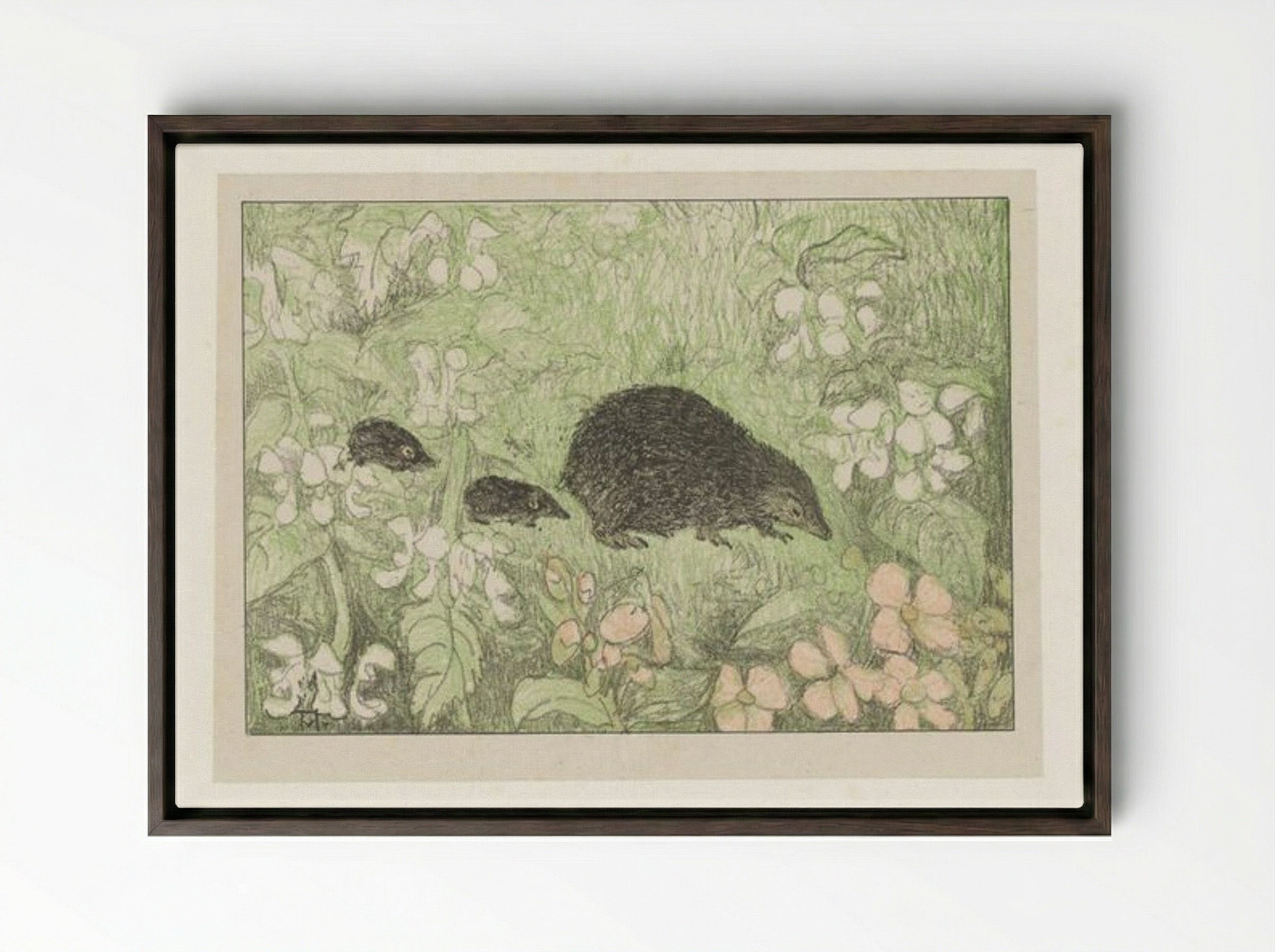 Hedgehog with Young - Theo van Hoytema - Framed Canvas Dark Wood