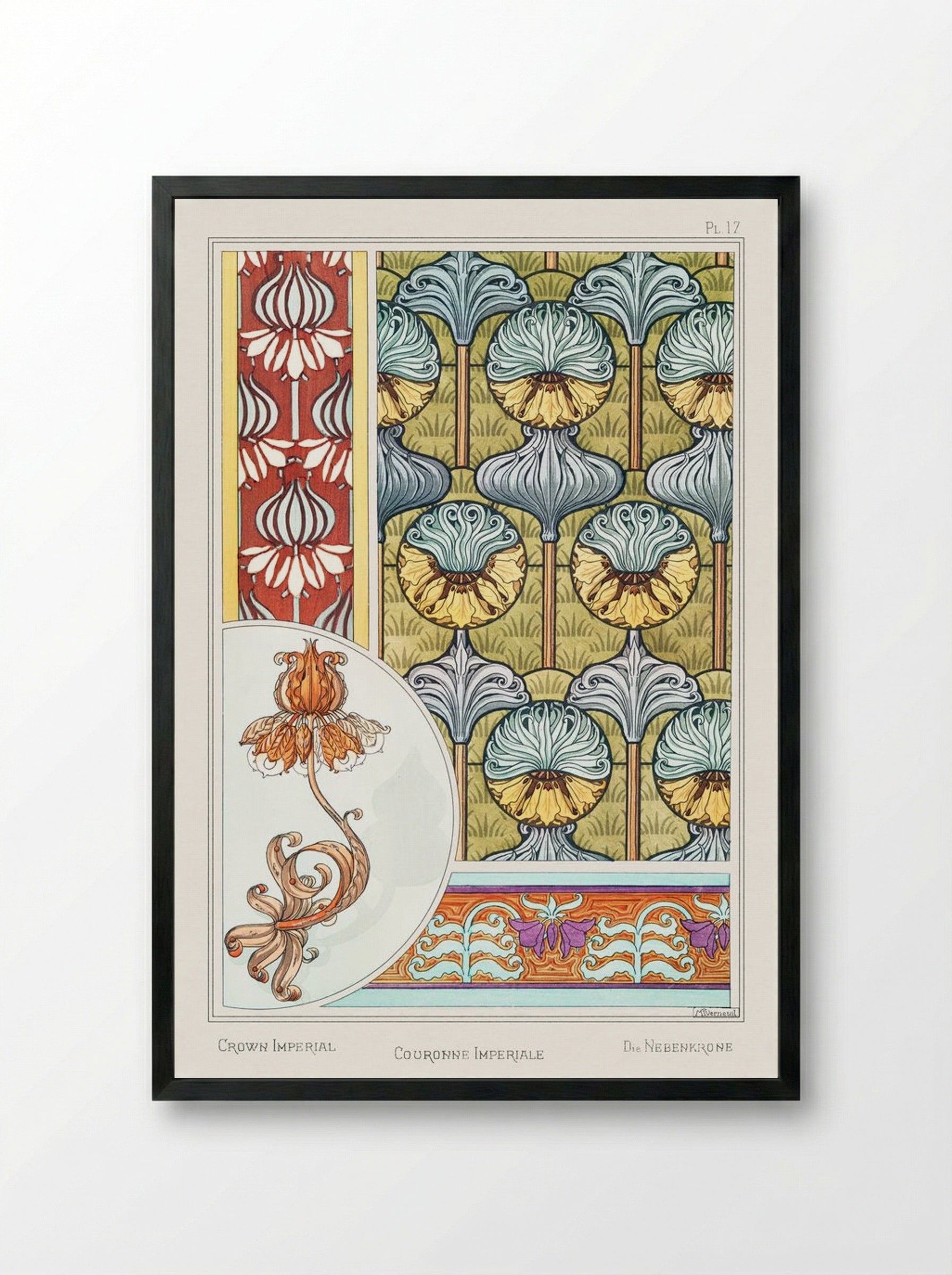 Couronne Impériale (Crown Imperial) from La Plante et ses Applications ornementales - Maurice Pillard Verneuil - Framed Print Black