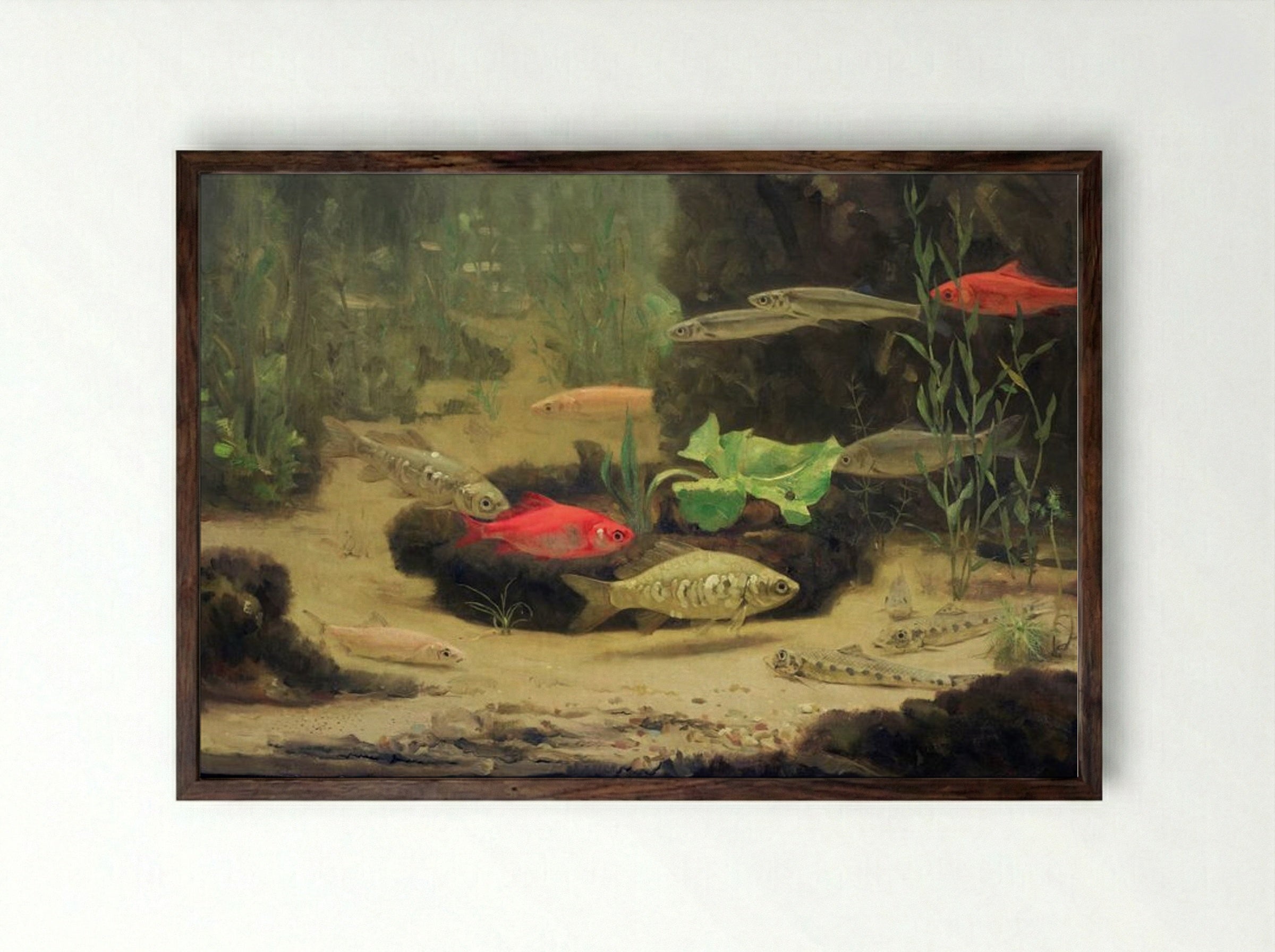 Gold and Silverfish in an Aquarium - Gerrit Willem Dijsselhof - Framed Print Dark Wood