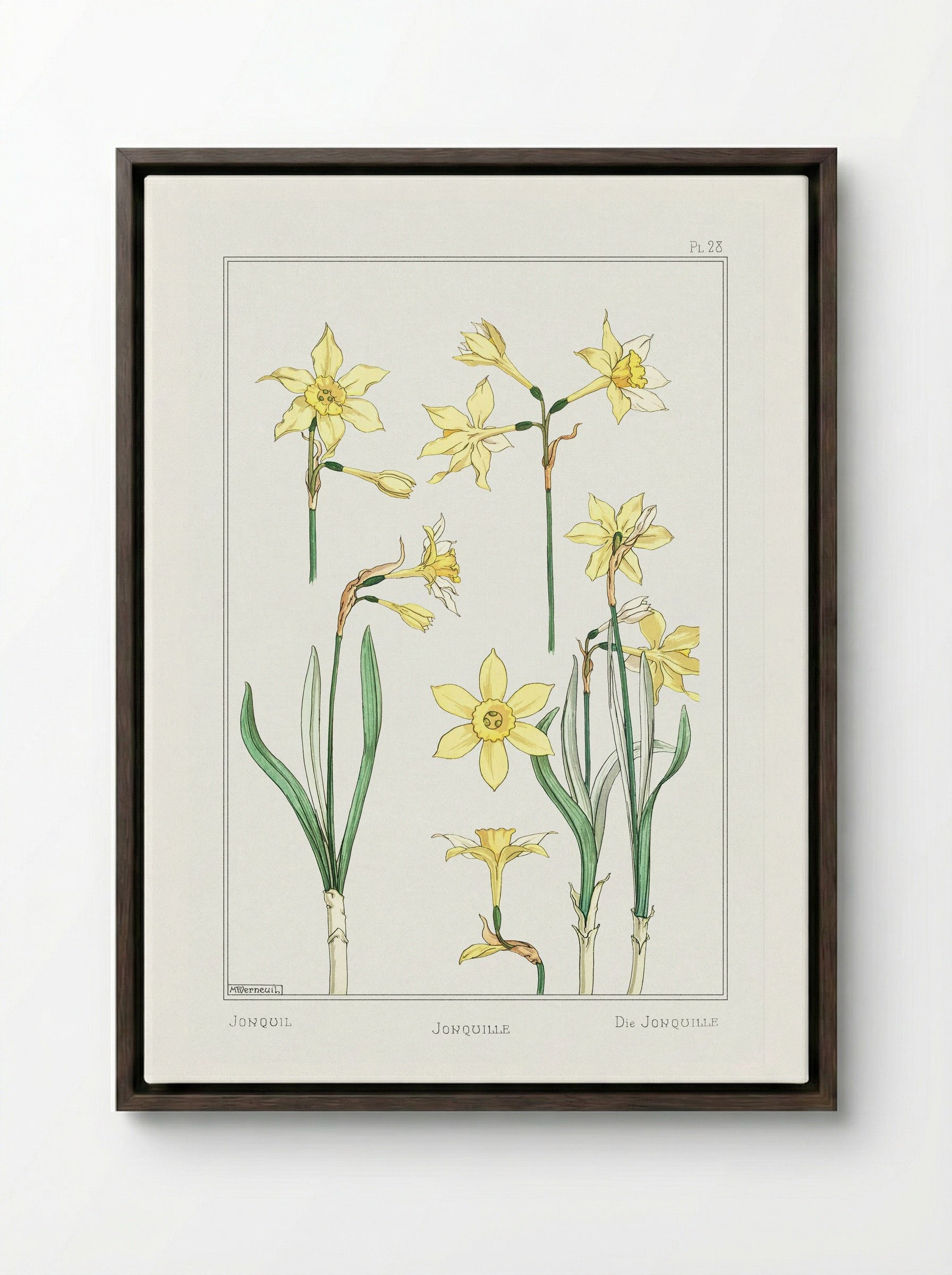Jonquille or Jonquil - Maurice Pillard Verneuil - Framed Canvas Dark Wood