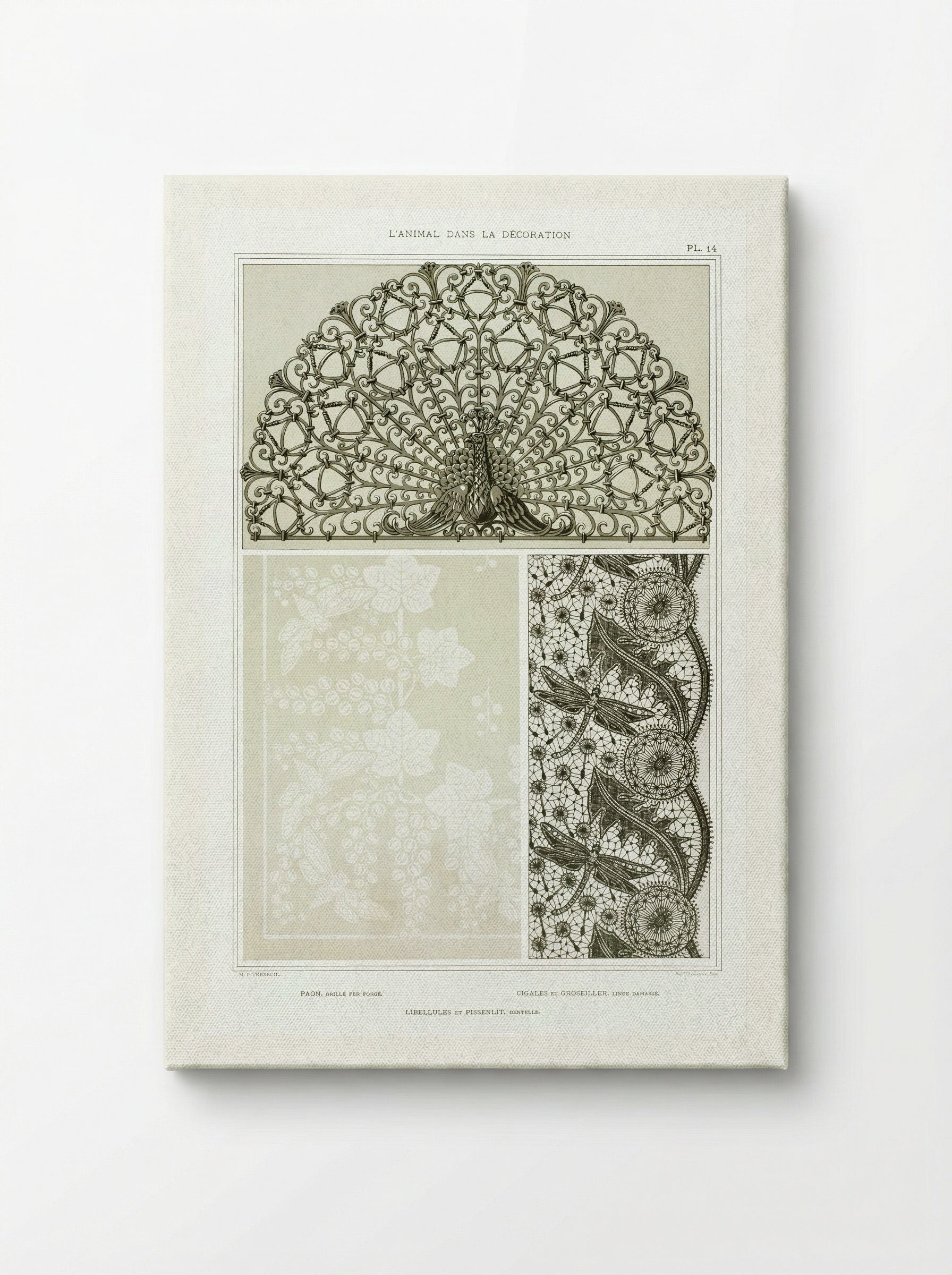 L'Animal dans la Décoration, Plate 14 (Peacock, Cicadas, Dragonflies) - Maurice Pillard Verneuil - Canvas