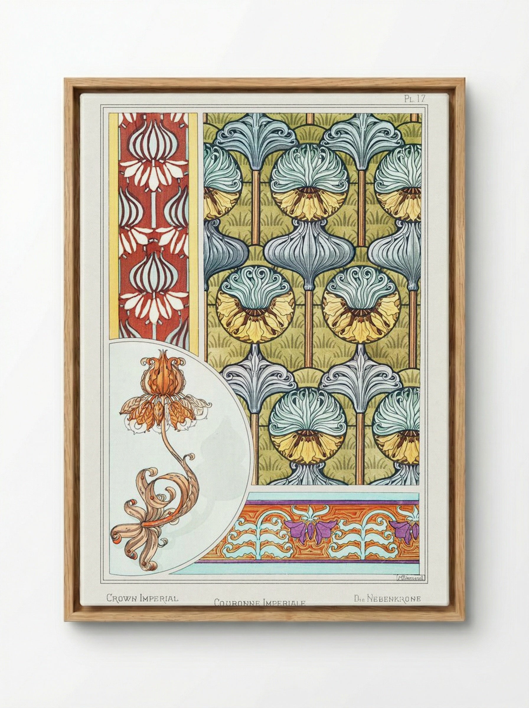 Couronne Impériale (Crown Imperial) from La Plante et ses Applications ornementales - Maurice Pillard Verneuil - Framed Canvas Wood