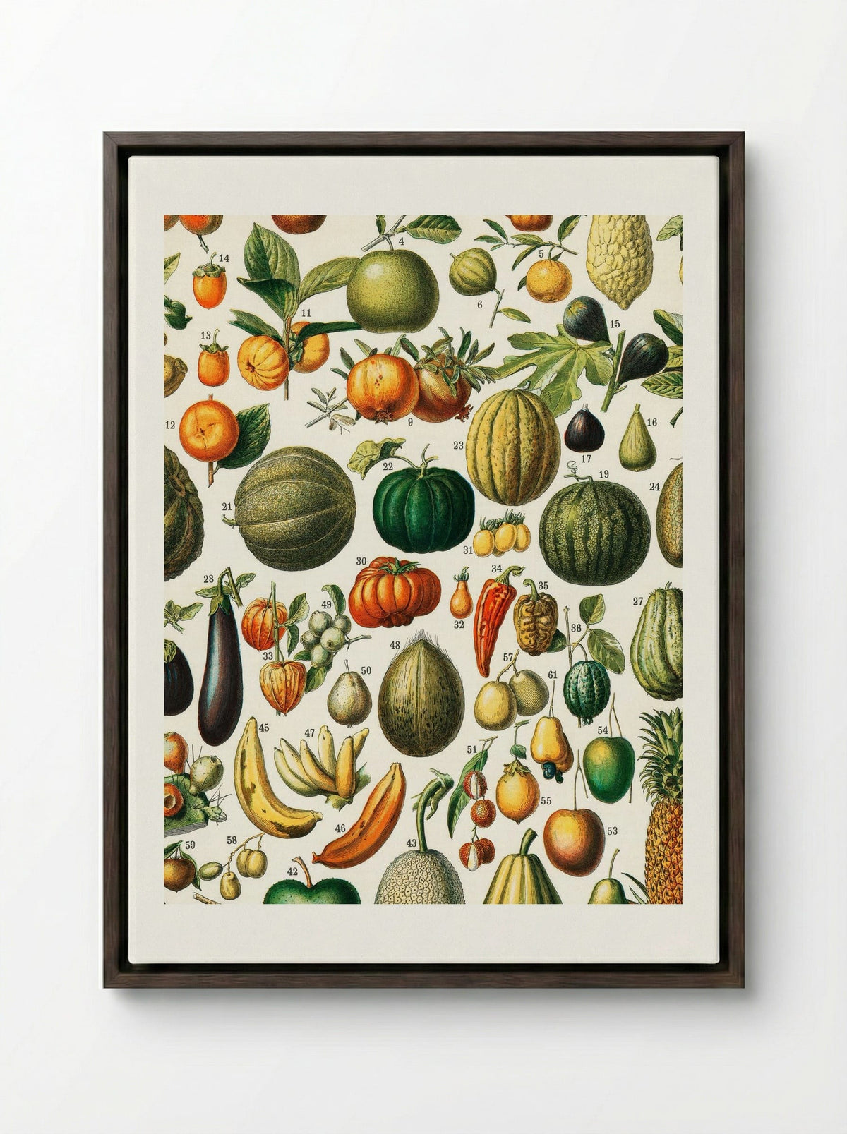Fruits (from Nouveau Larousse Illustré) - Adolphe Millot - Framed Canvas Dark Wood