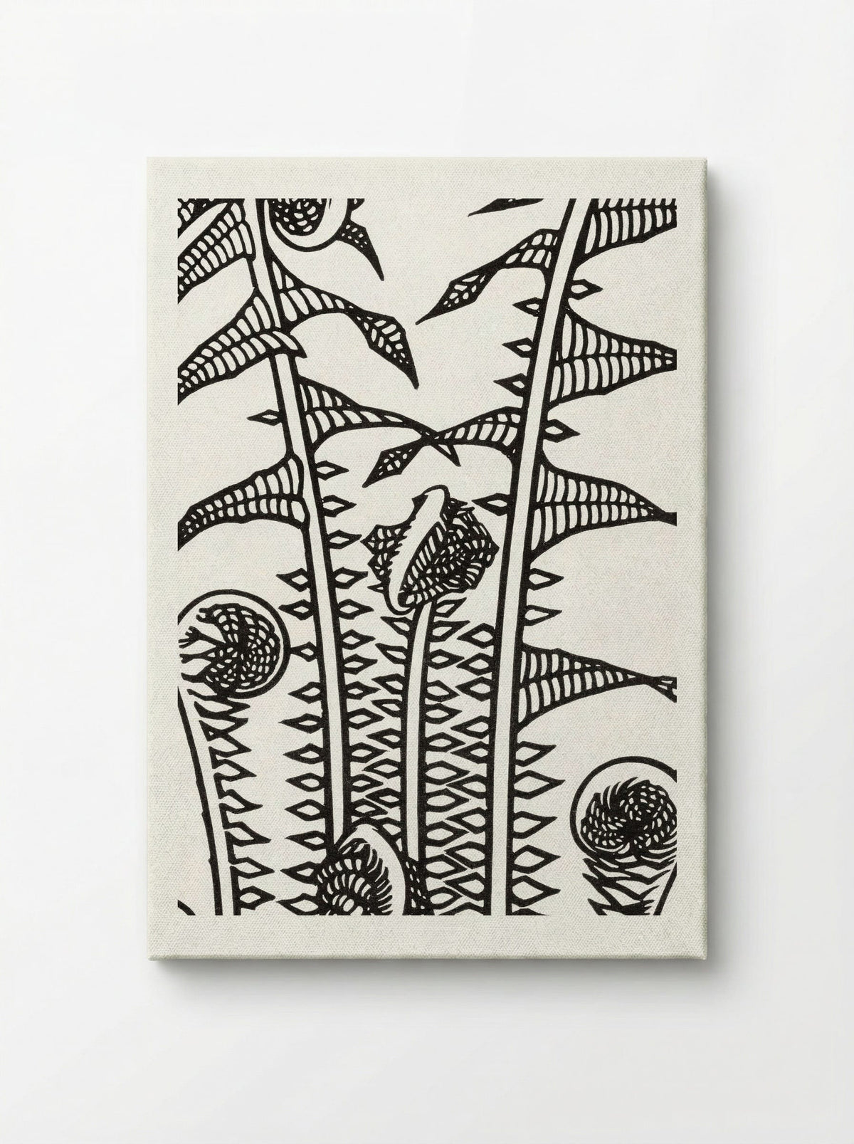 Ferns - Julie de Graag - Canvas