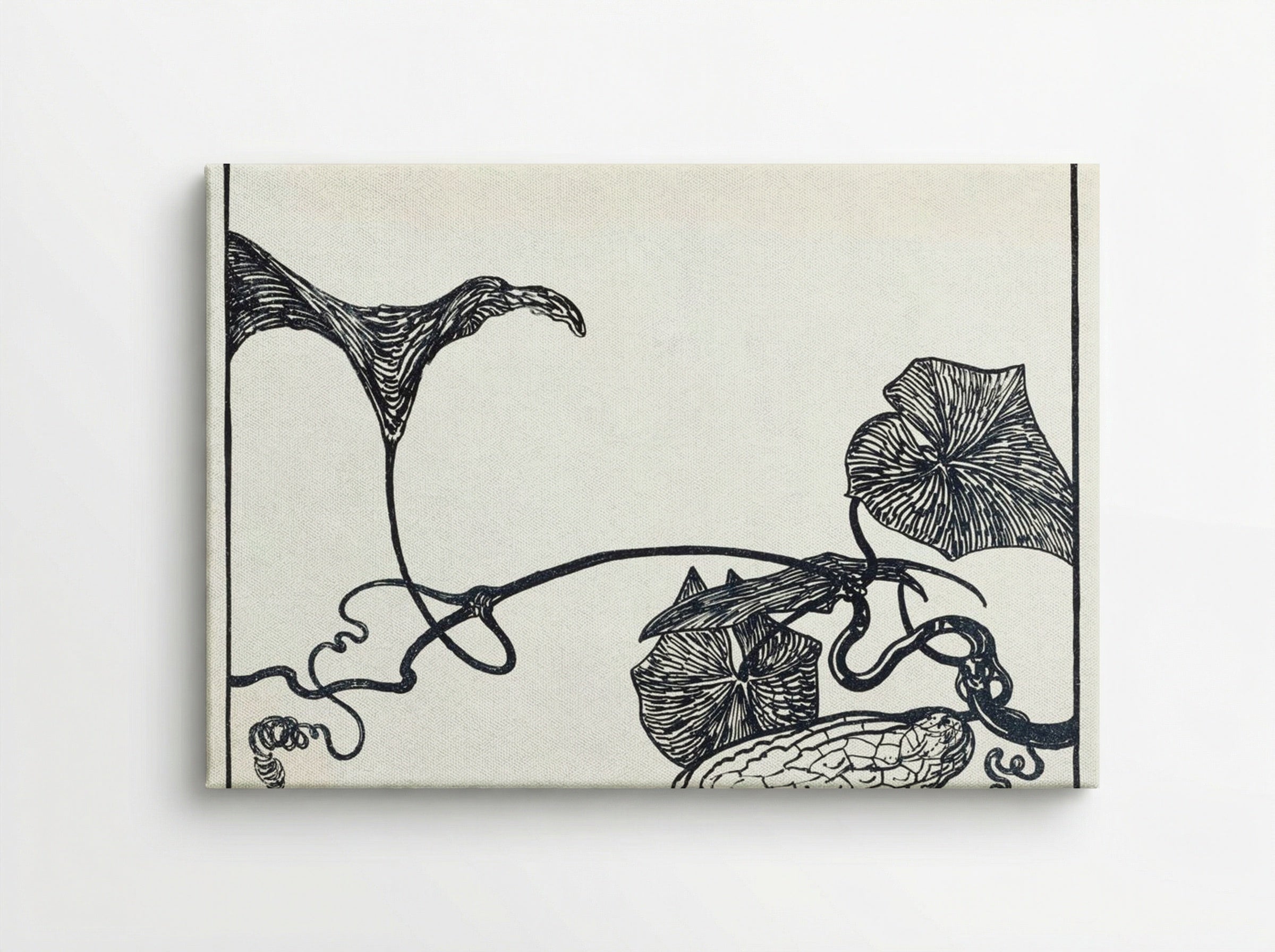 Augurkenplant (Cucumber Plant) - Theo van Hoytema - Canvas