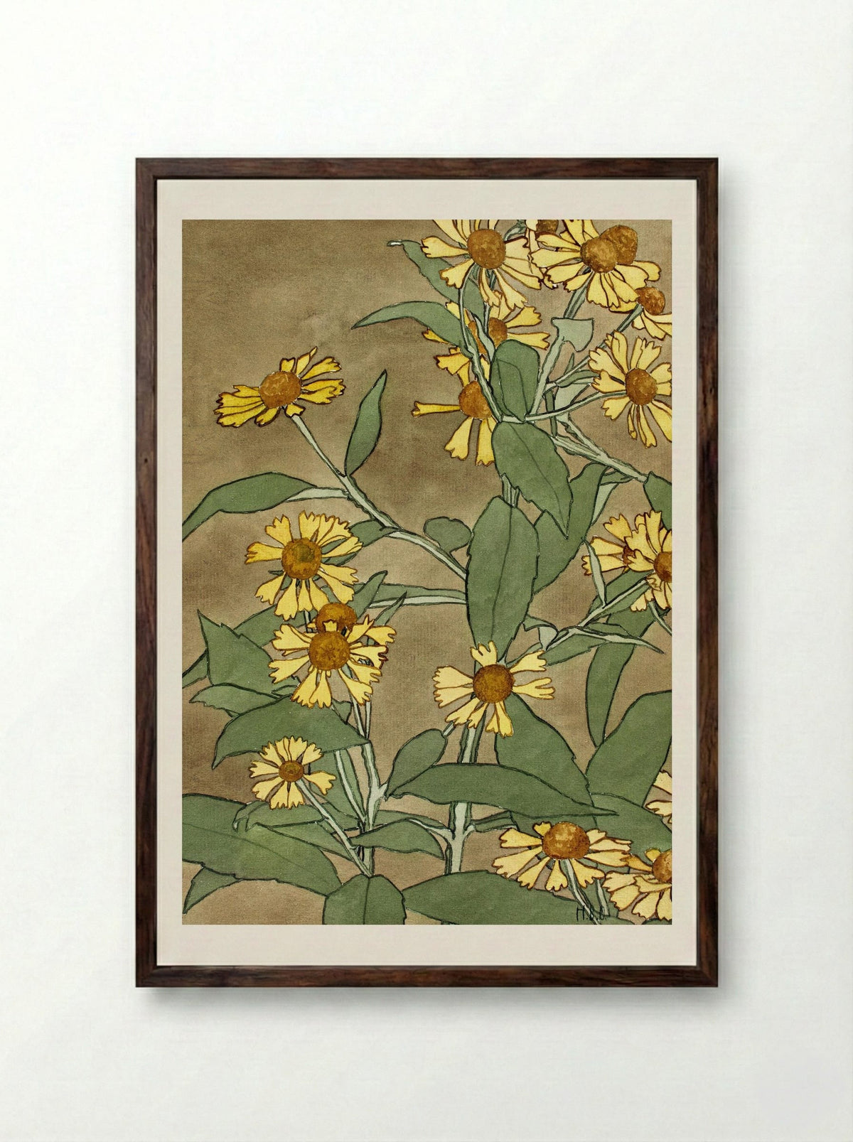 Daisies with Orange Center and Yellow Petals (1915) - Hannah Borger Overbeck - Framed Print Dark Wood