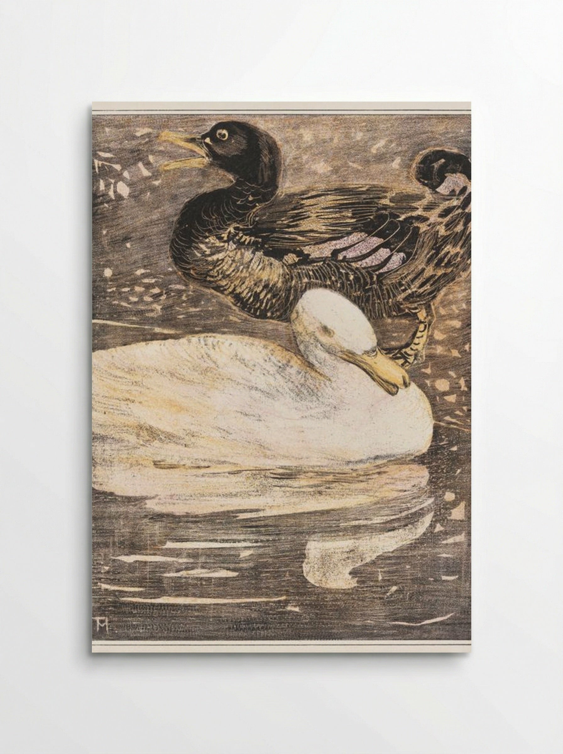 Two Ducks - Theo van Hoytema - Poster