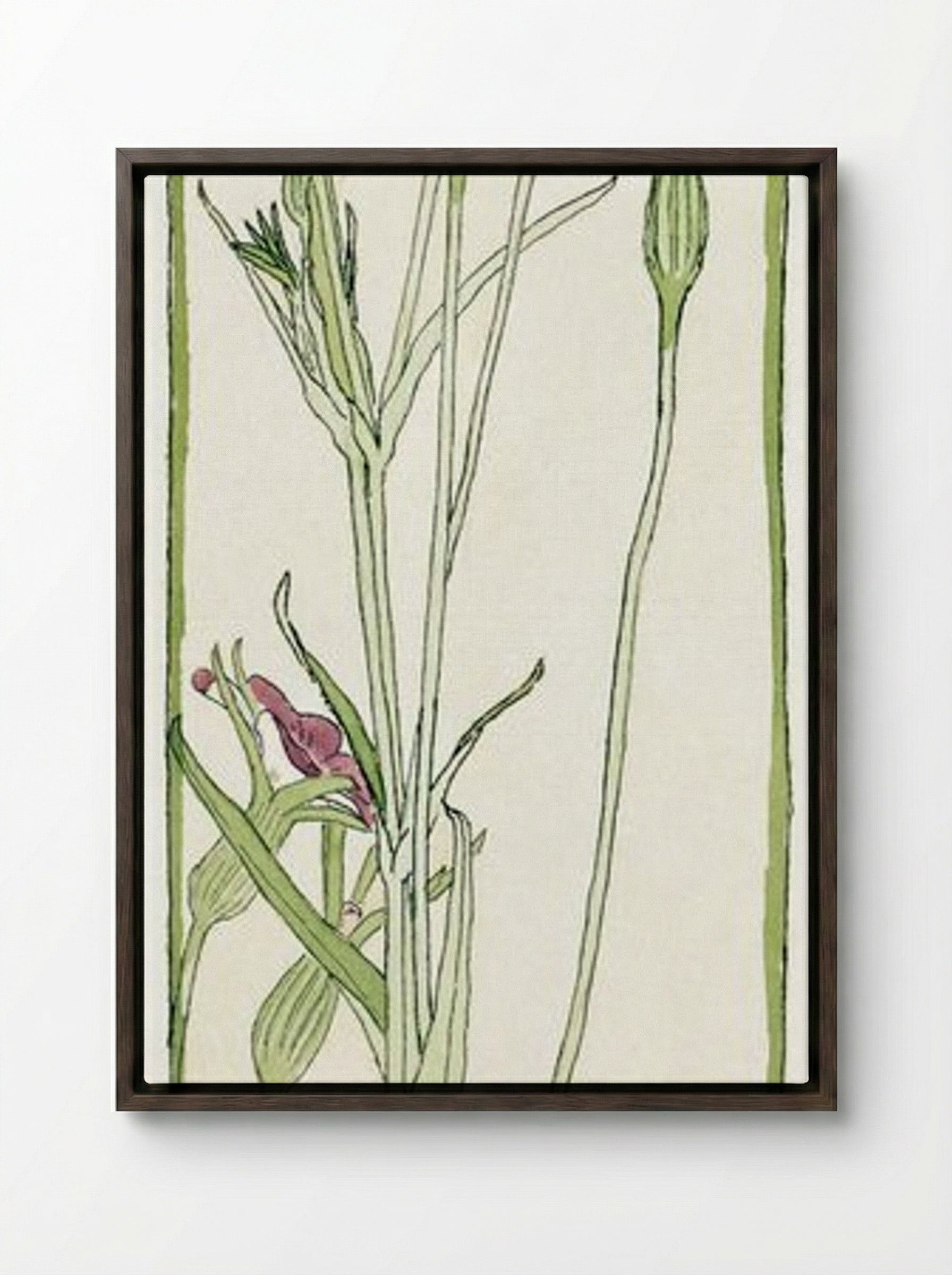 Corn Cockle - Hannah Borger Overbeck - Framed Canvas Dark Wood