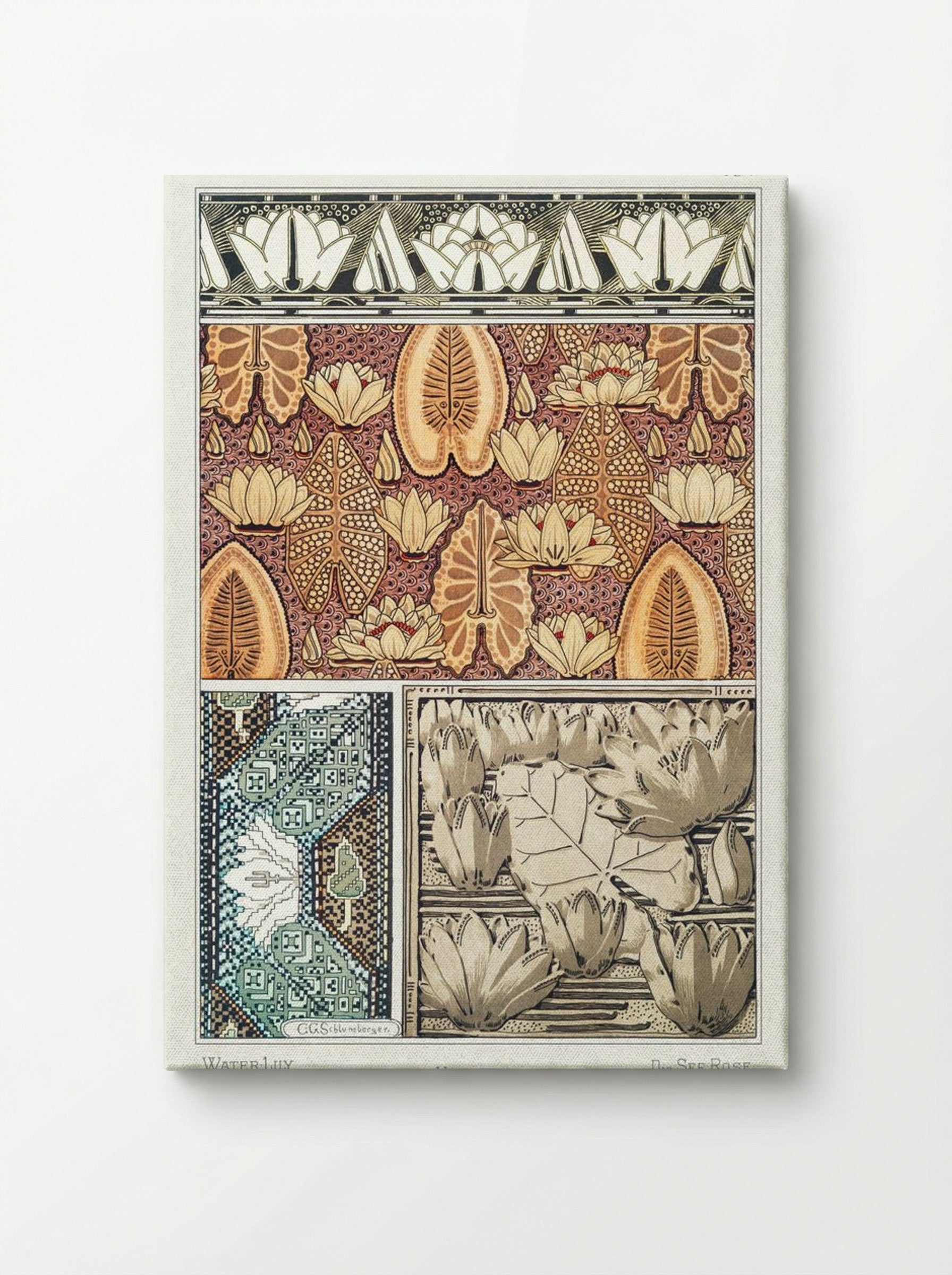 Nénuphar (Water Lilies) from La Plante et ses Applications ornementales - Maurice Pillard Verneuil - Canvas