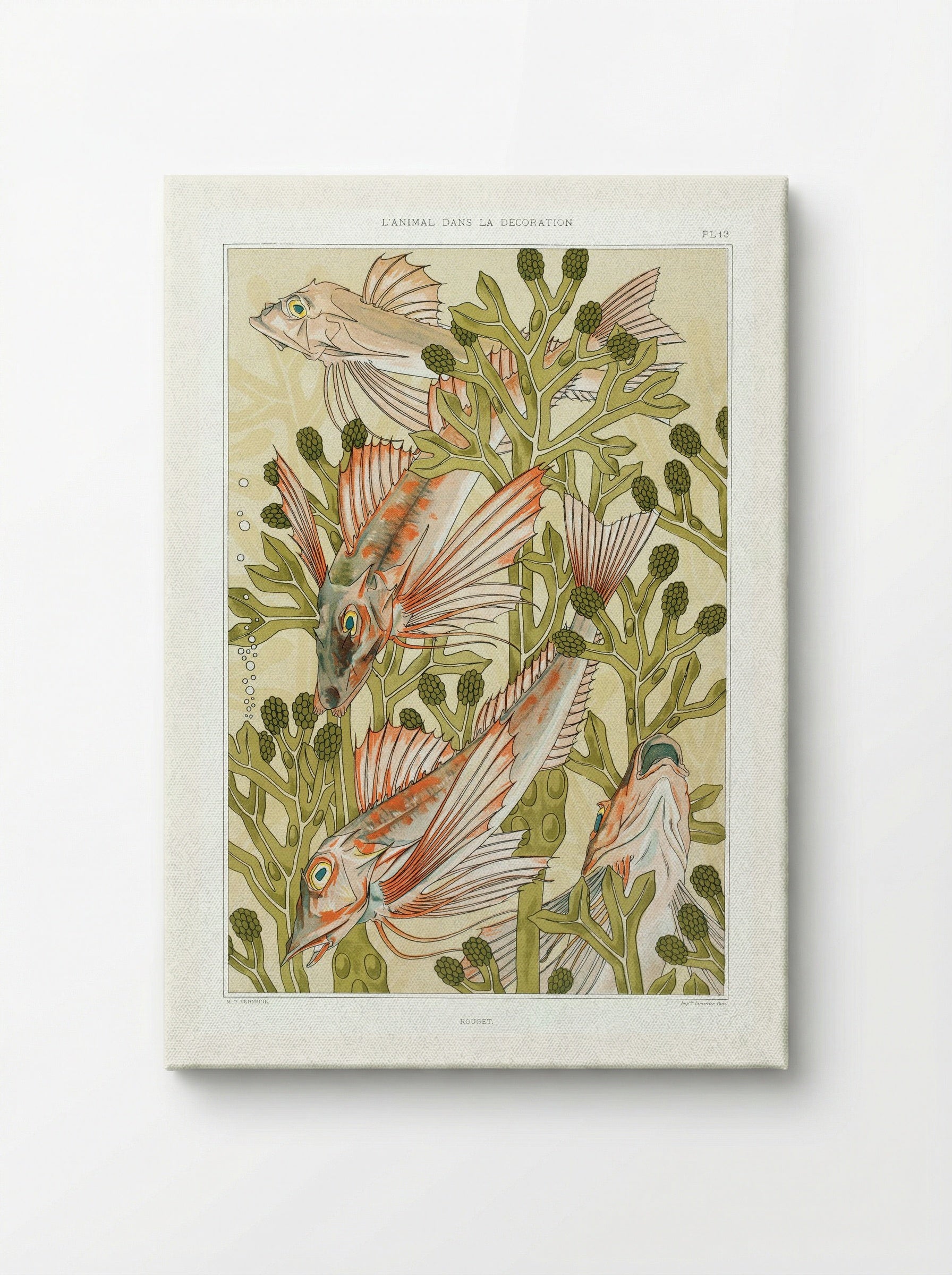 Rouget (From L'animal dans la décoration) - Maurice Pillard Verneuil - Canvas